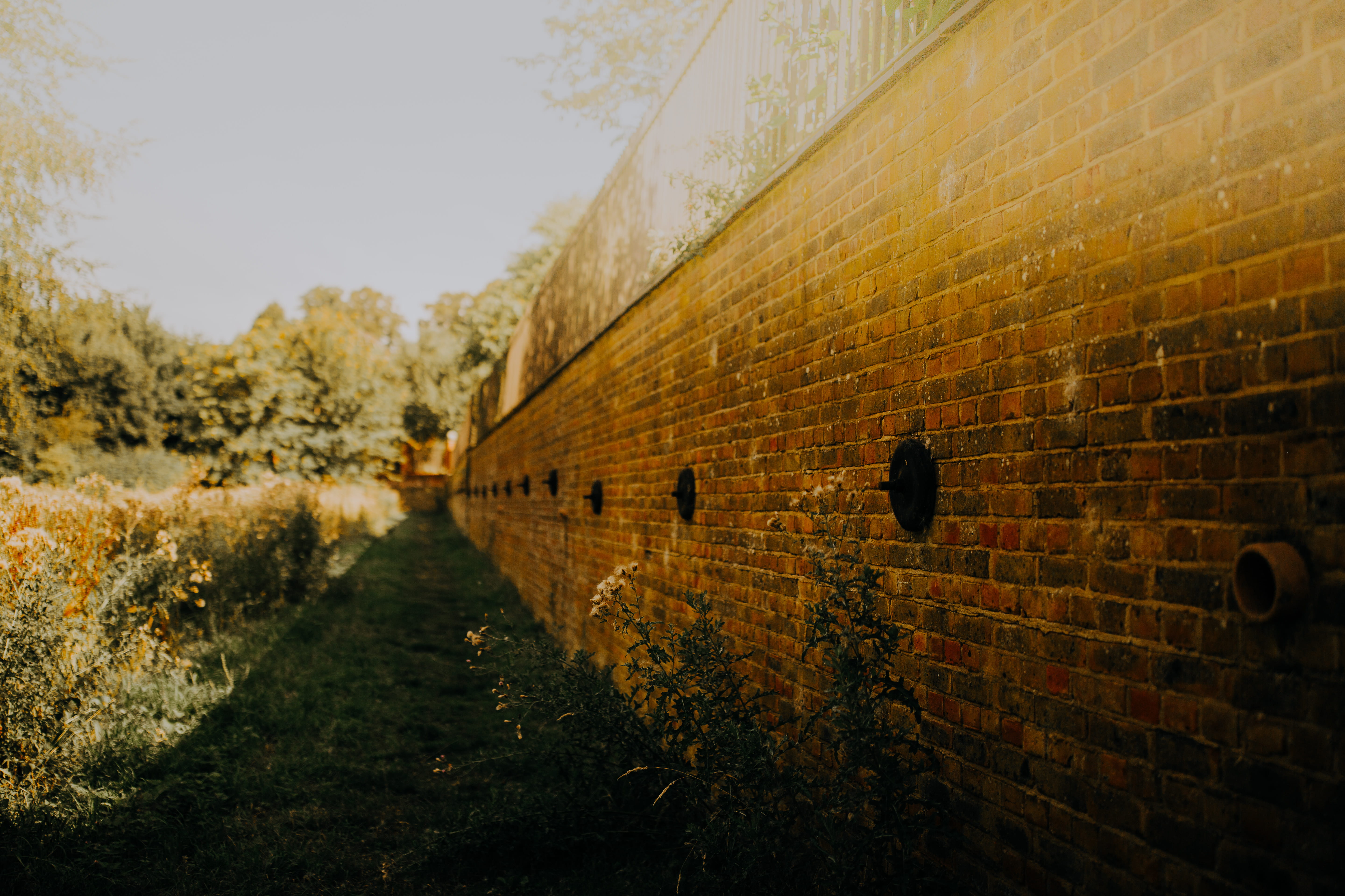 outdoors, rural, building exterior, no people, light, 5K, brick, sidewalk, tarmac, nature, green, day, focus on foreground, flare, architecture, pavement, HD Wallpaper
