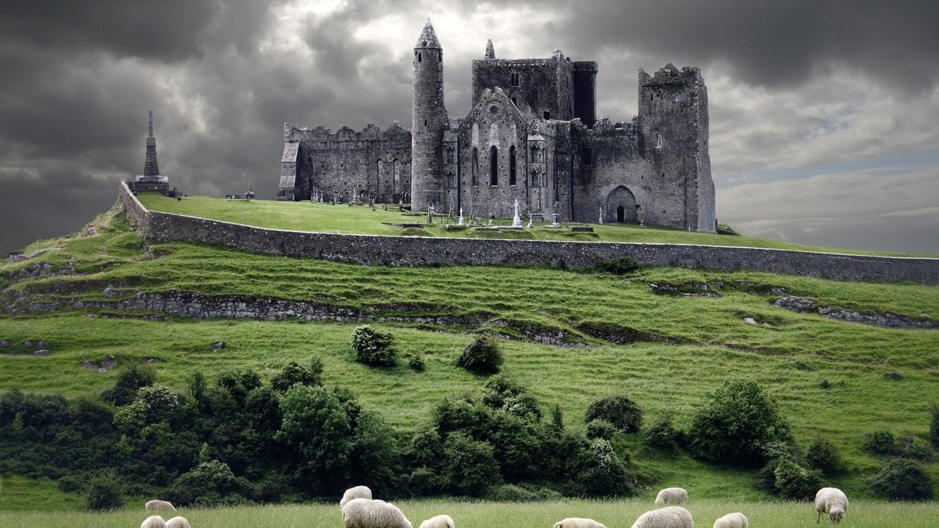 Countryside, 1080P, Historic, Castles, Sheep, Rock Of Cashel, Nature, Castle, Earth, Landscape, HD Wallpaper
