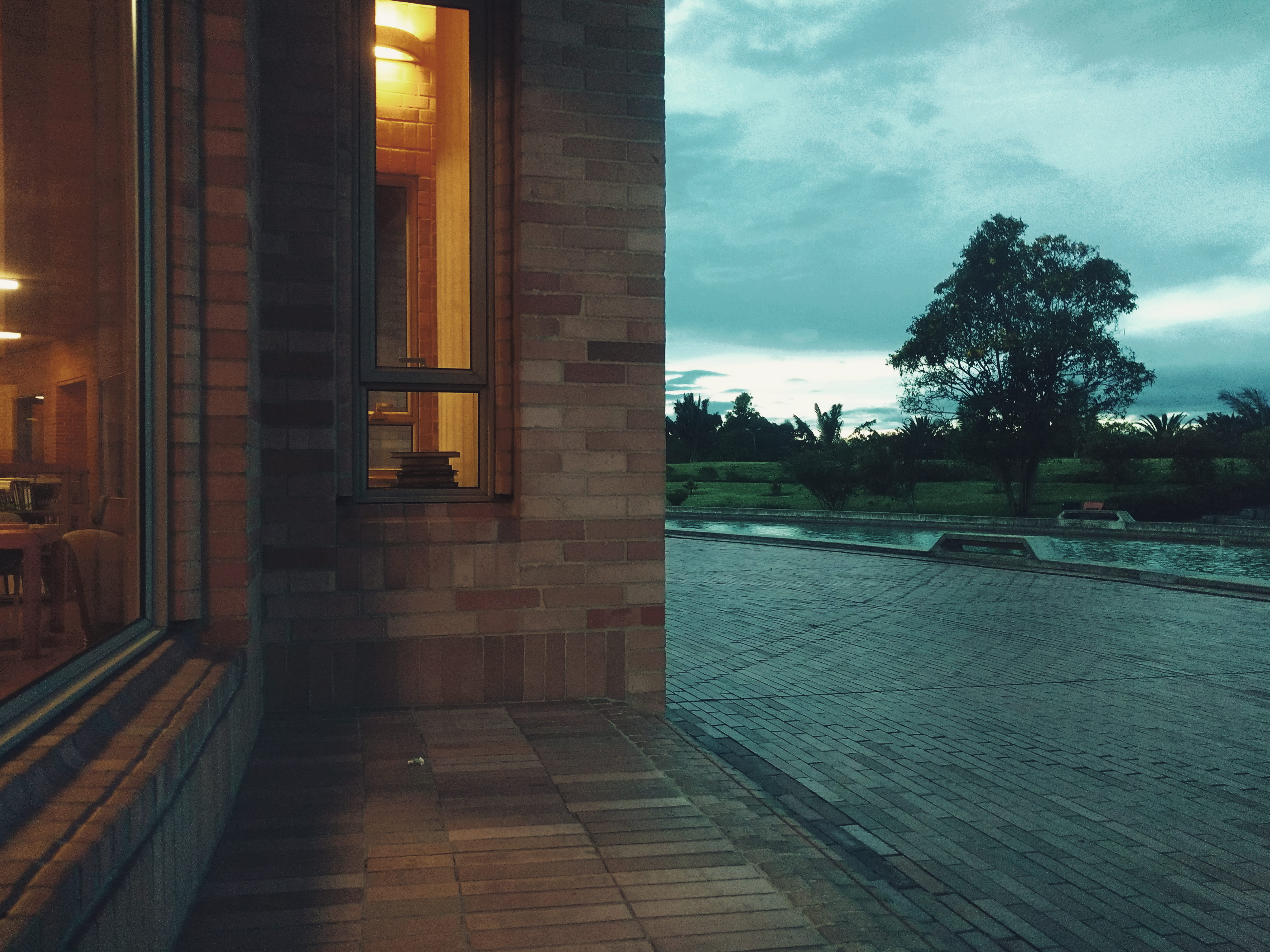bogotá, flooring, footpath, biblioteca pública virgilio barco, architecture, tree, 5K, library, plant, nature, reflection, built structure, no people, HD Wallpaper