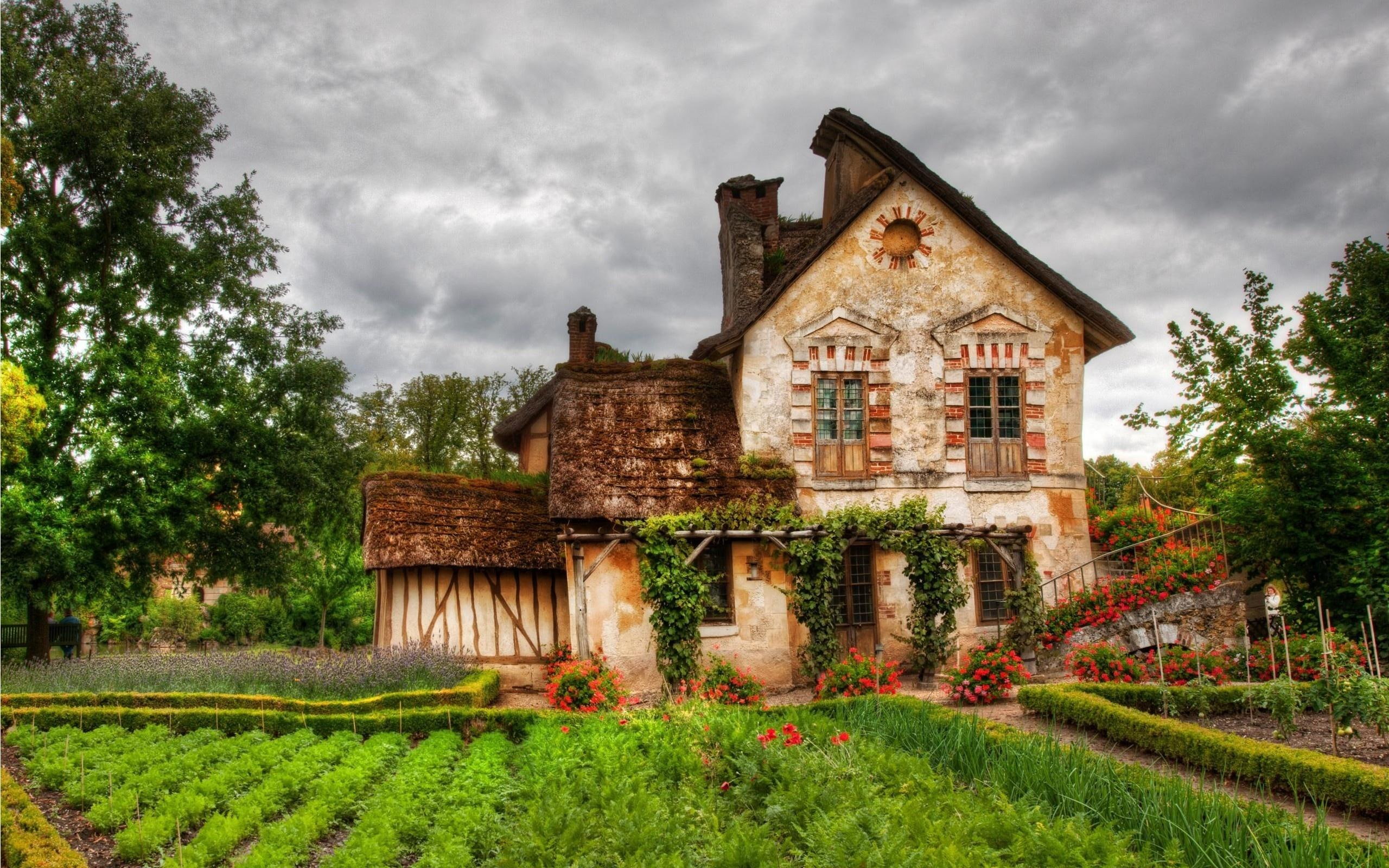 nature and, trees, architecture, houses, nature, clouds, garden, 2K, old, house, beautiful, colorful, flowers, HD Wallpaper