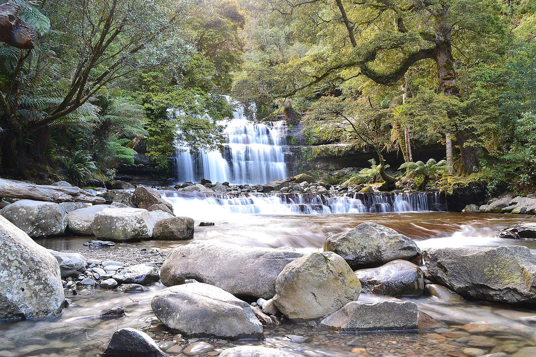 river, falls, Tasmania, liffey, 1080P, Nature, HD Wallpaper