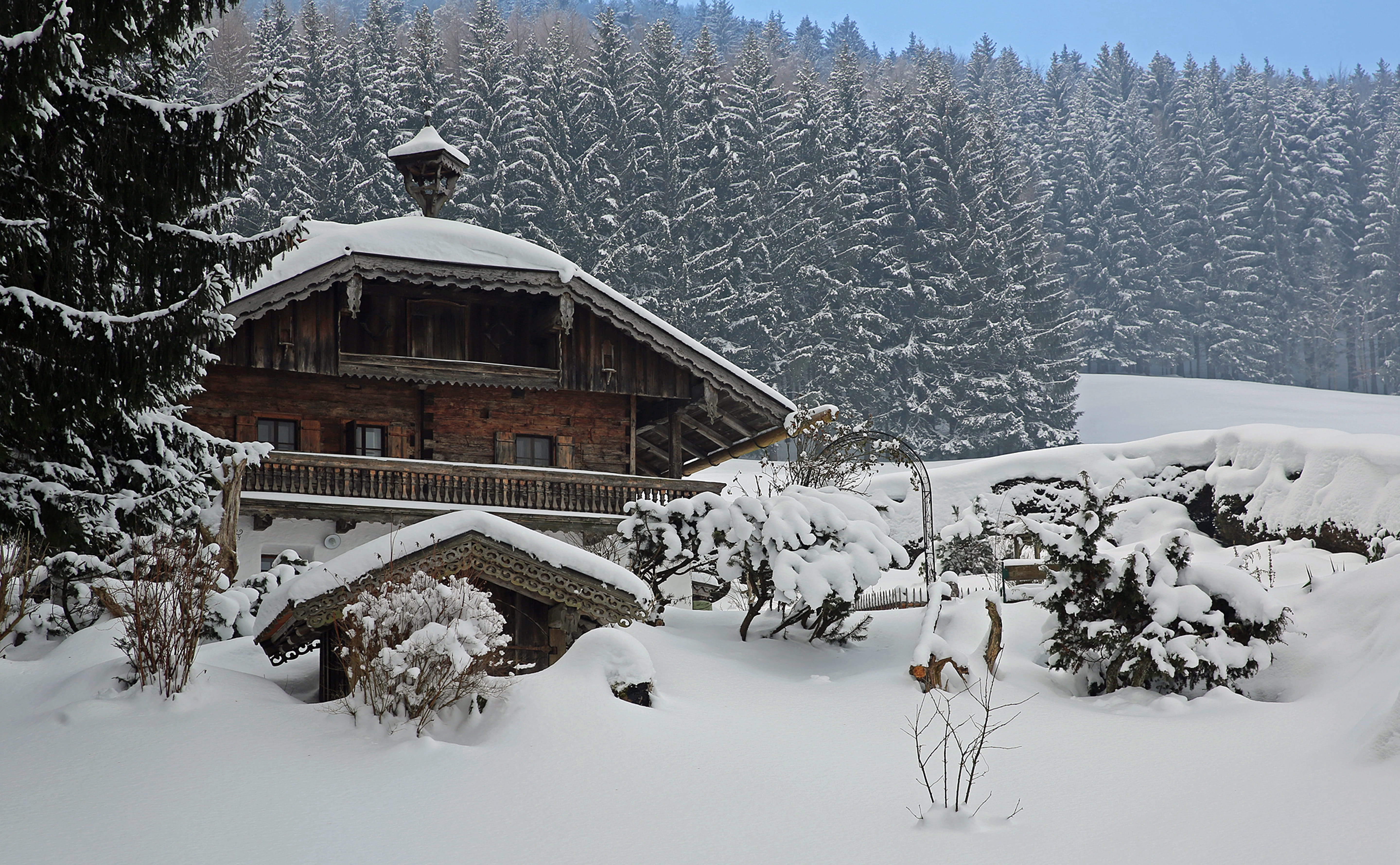 log cabin, no people, building, building exterior, cold, trees, wintry, covering, land, white color, idyllic, frozen, landscape, holiday house, beauty in nature, HD Wallpaper