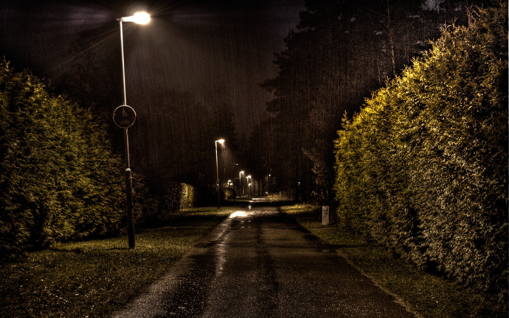 autumn, green, lighting Equipment, tree, diminishing perspective, nature, rain, urban Scene, no People, the way forward, built structure, street Light, HD Wallpaper