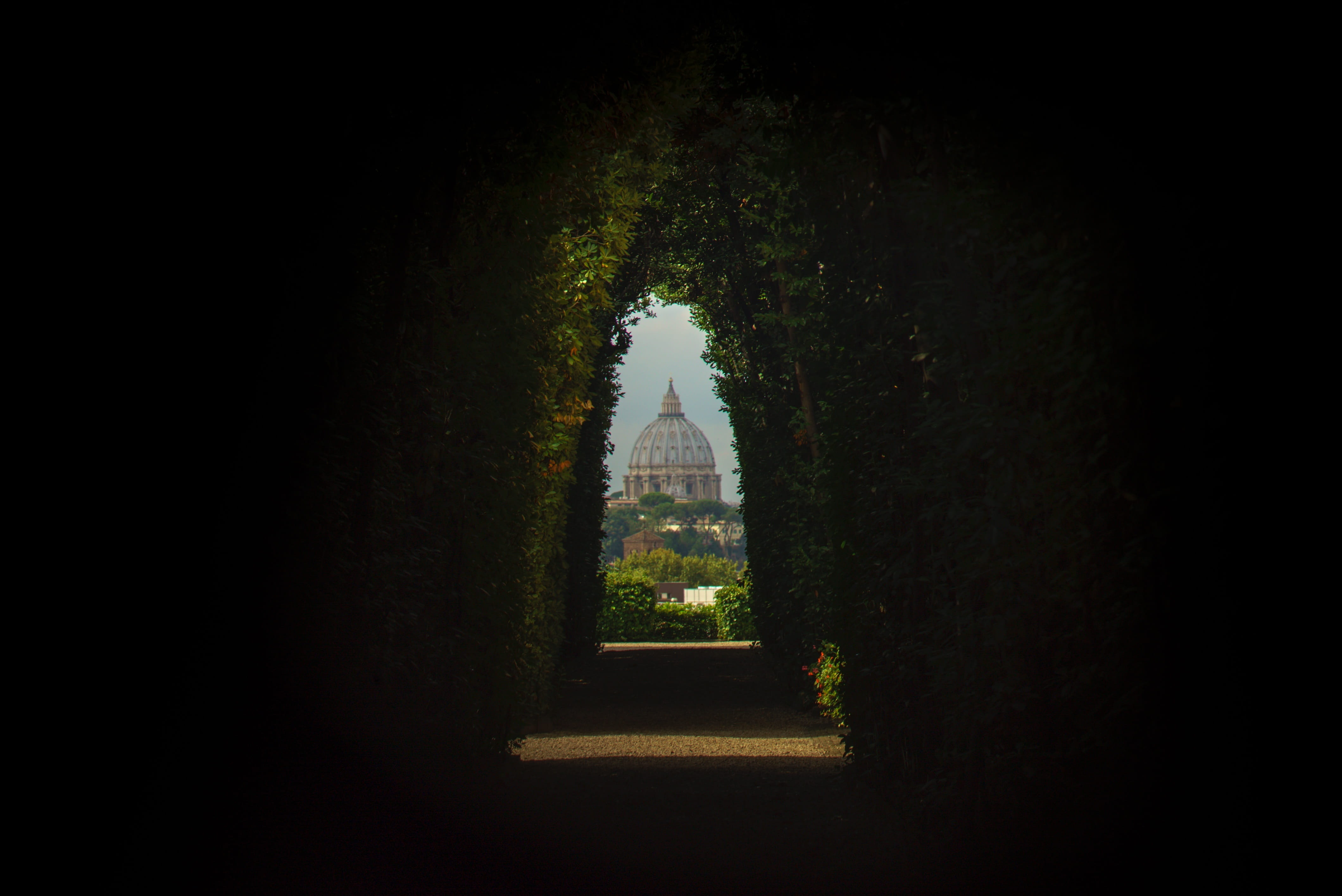 architecture, cathedral, church, arch, alley, plant, building exterior, night, building, footpath, infrastructure, green, travel destinations, tree, hedge, HD Wallpaper