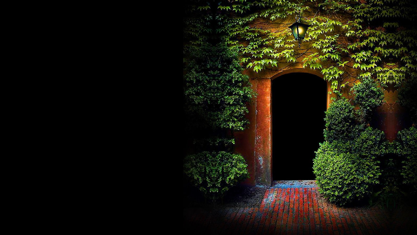 green color, no people, night, plant, window, hedge, building exterior, built structure, outdoors, nature, copy space, 720P, arch, tree, growth, plants leaves, HD Wallpaper