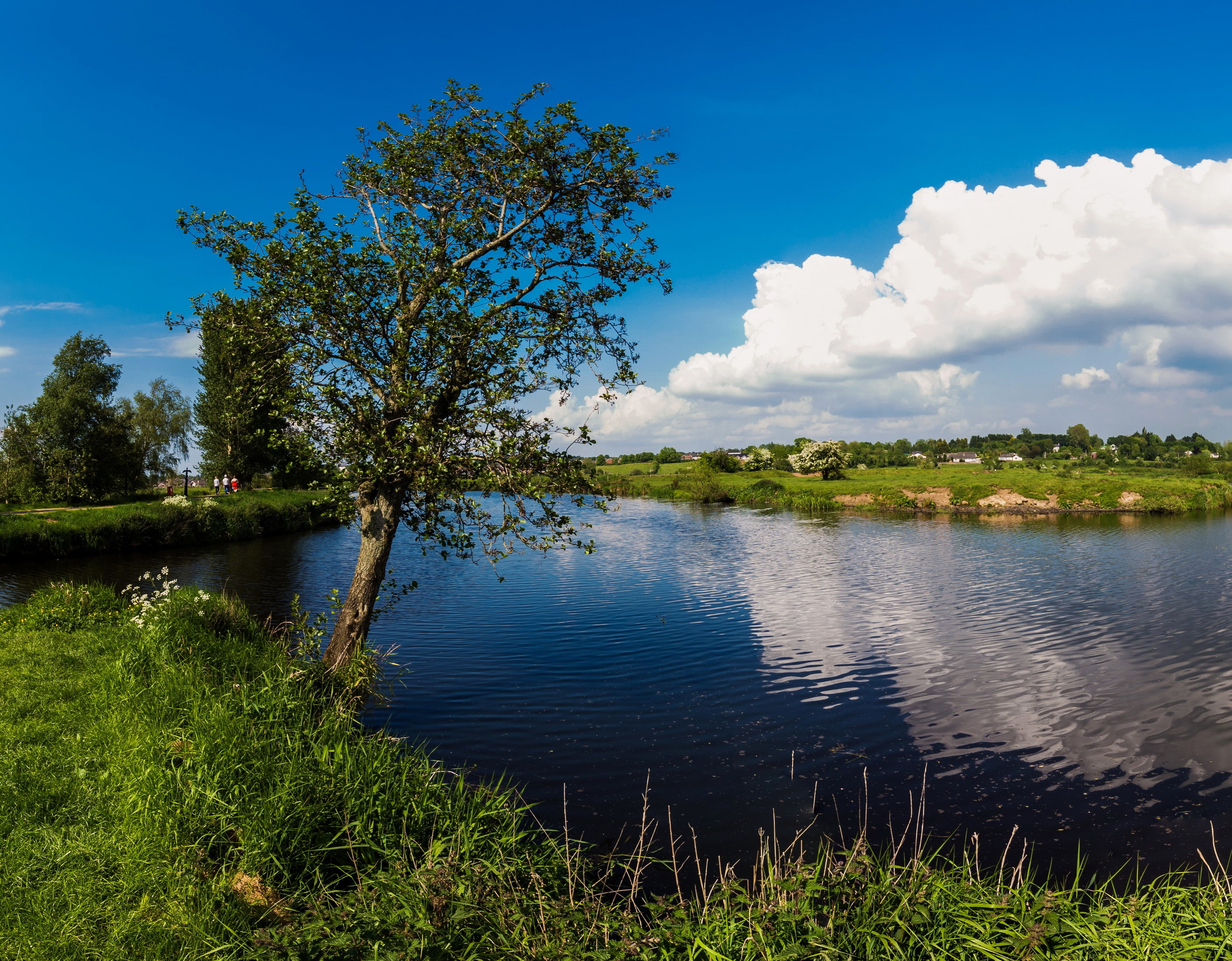 trees, Bank, sky, northern, grass, UK, ireland, Northern Ireland, 2K, summer.lake, clouds, Portadown, HD Wallpaper