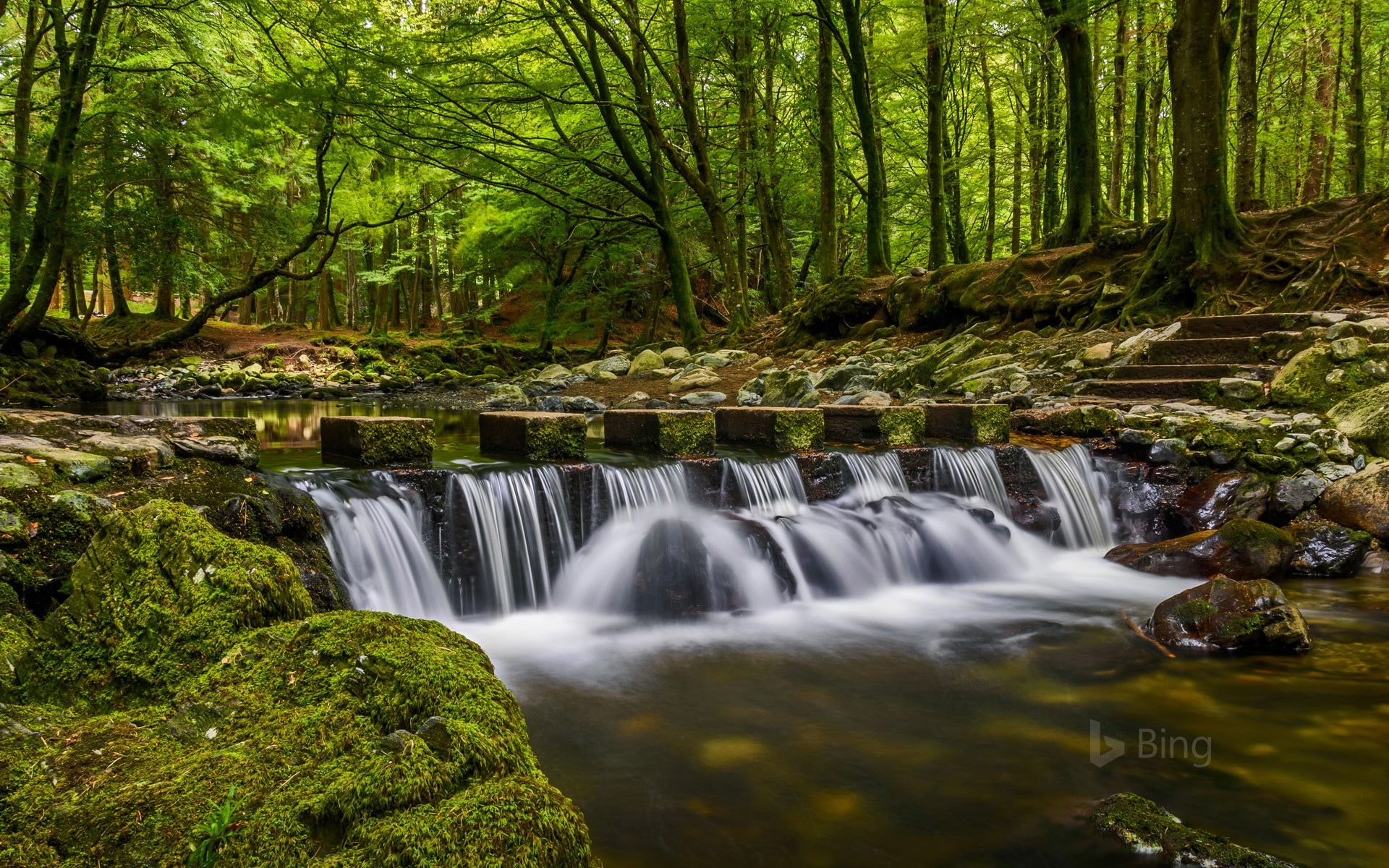 british, environment, scenics - nature, stream - flowing water, falling water, flowing water, power in nature, land, motion, growth, outdoors, blurred motion, HD Wallpaper