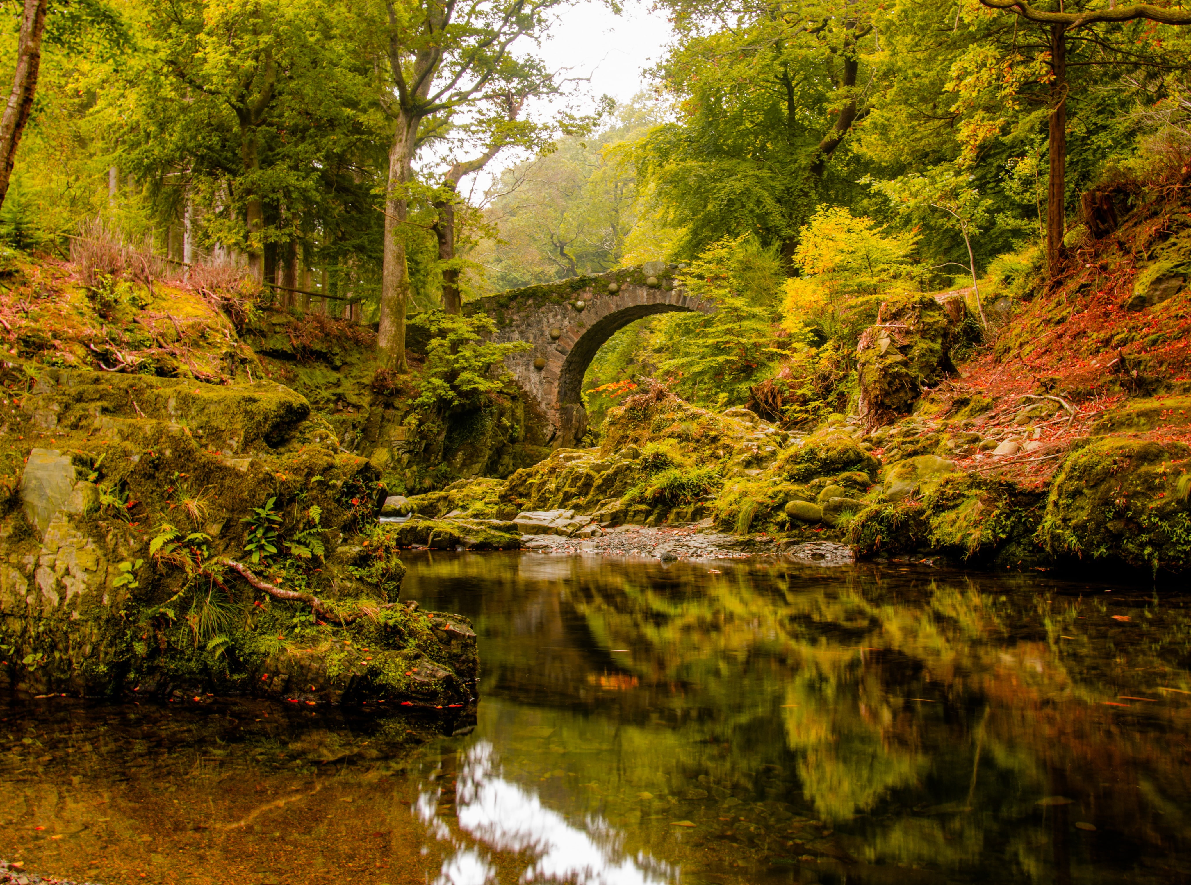 change, s, leafed, footbridge, scenics - nature, plant, trees, tranquil scene, connection, arch bridge, Autumn, waterfront, water, tree, outdoors, arch, HD Wallpaper