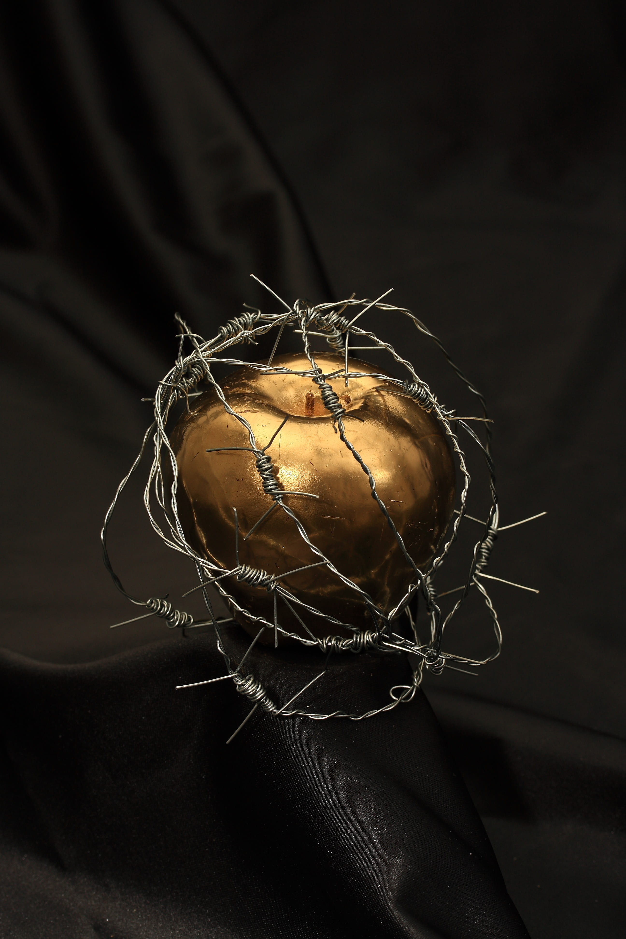 barbed, idea, 4K, adam, paint, close-up, studio shot, religion, freshness, table, hell, decor, pattern, fragility, healthy eating, studio, eve, macro, Phone HD Wallpaper