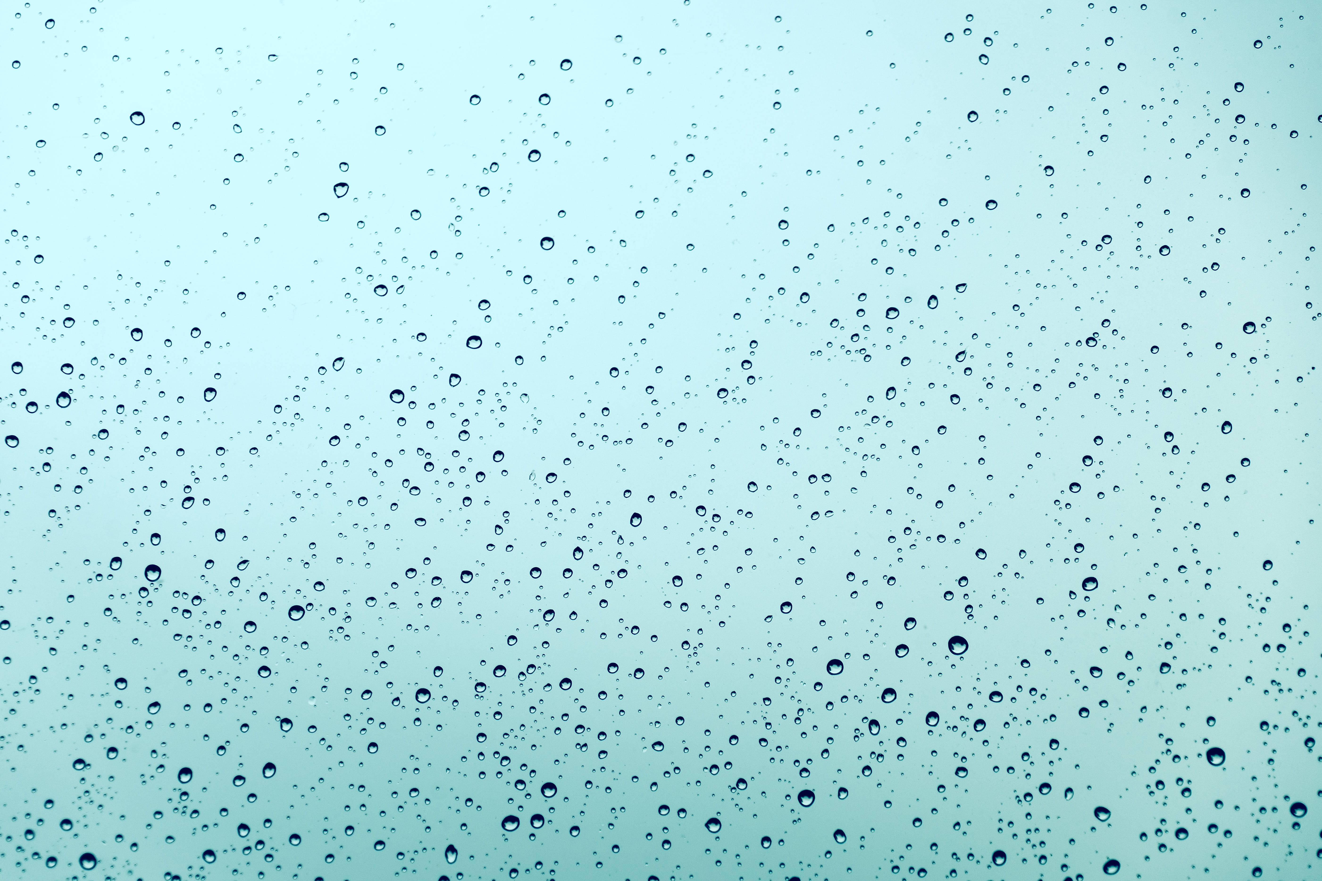 full frame, day, blue background, droplet, leaf, paper, animal, gray, abundance, flying, flock, flock of birds, wet, outdoors, art, pattern, sky, 5K, window, HD Wallpaper