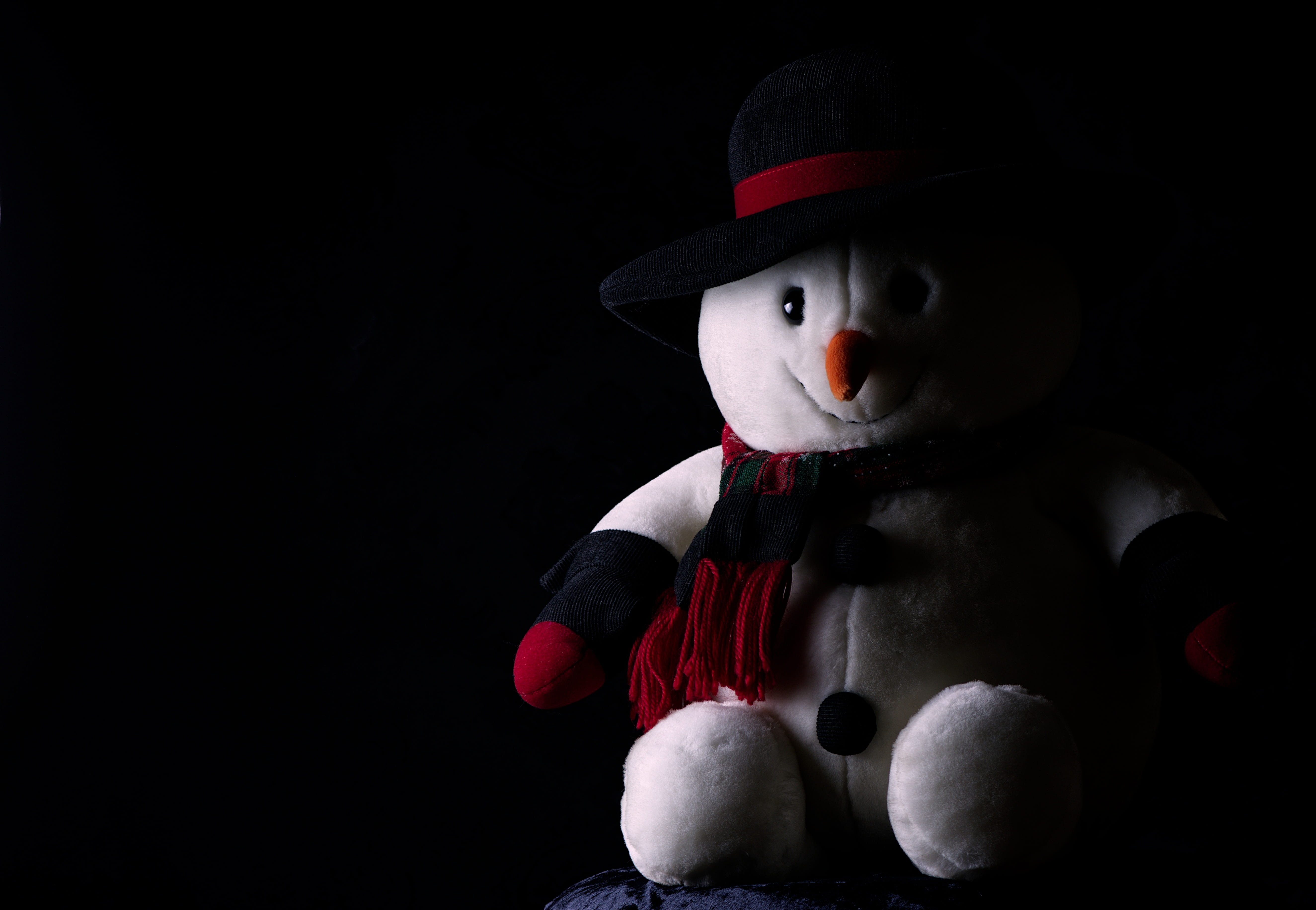 christmas, copy space, innocence, hat, christmas motif, winter, plush, cute, portrait, teddy bear, black background, front view, close-up, representation, HD Wallpaper