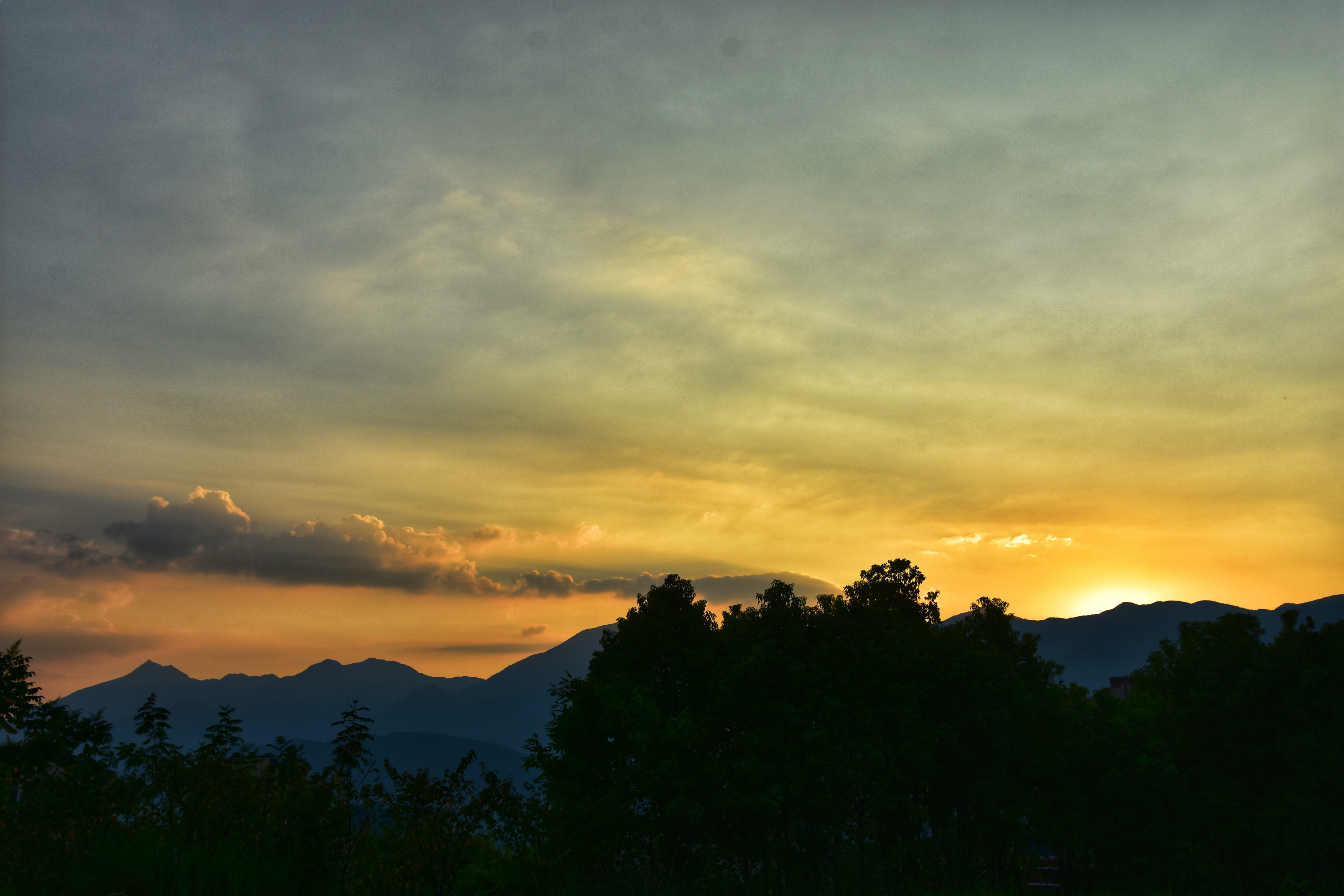 outdoors, scenery, orange color, 5K, tranquility, cozy, nature, sky, plant, harmony, golden yellow, cloud - sky, landscape, rod rods, growth, HD Wallpaper