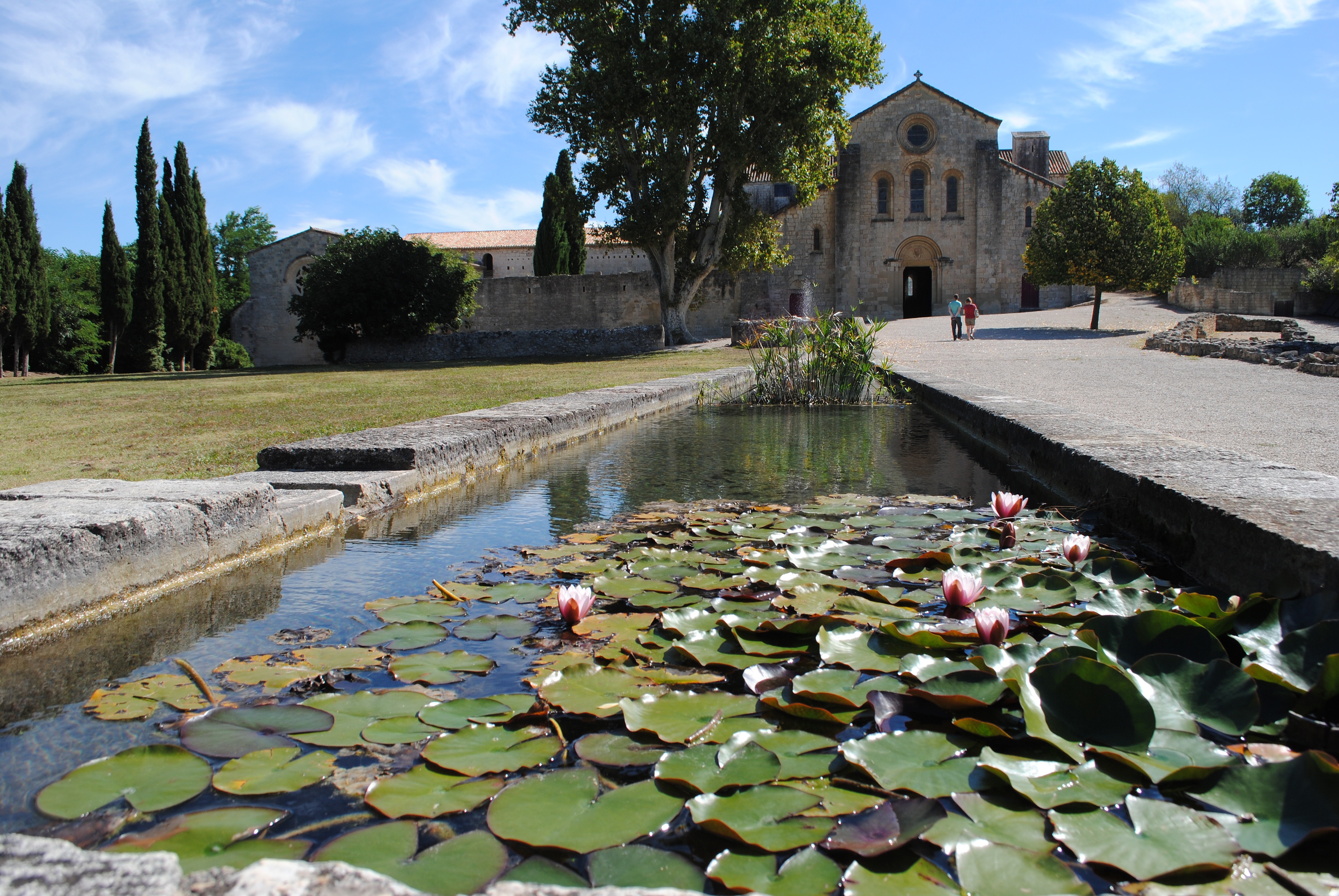 architecture, church, floating on water, nature, day, monastery, romanesque, building exterior, leaves, building, water lily, built structure, lotus water lily, HD Wallpaper