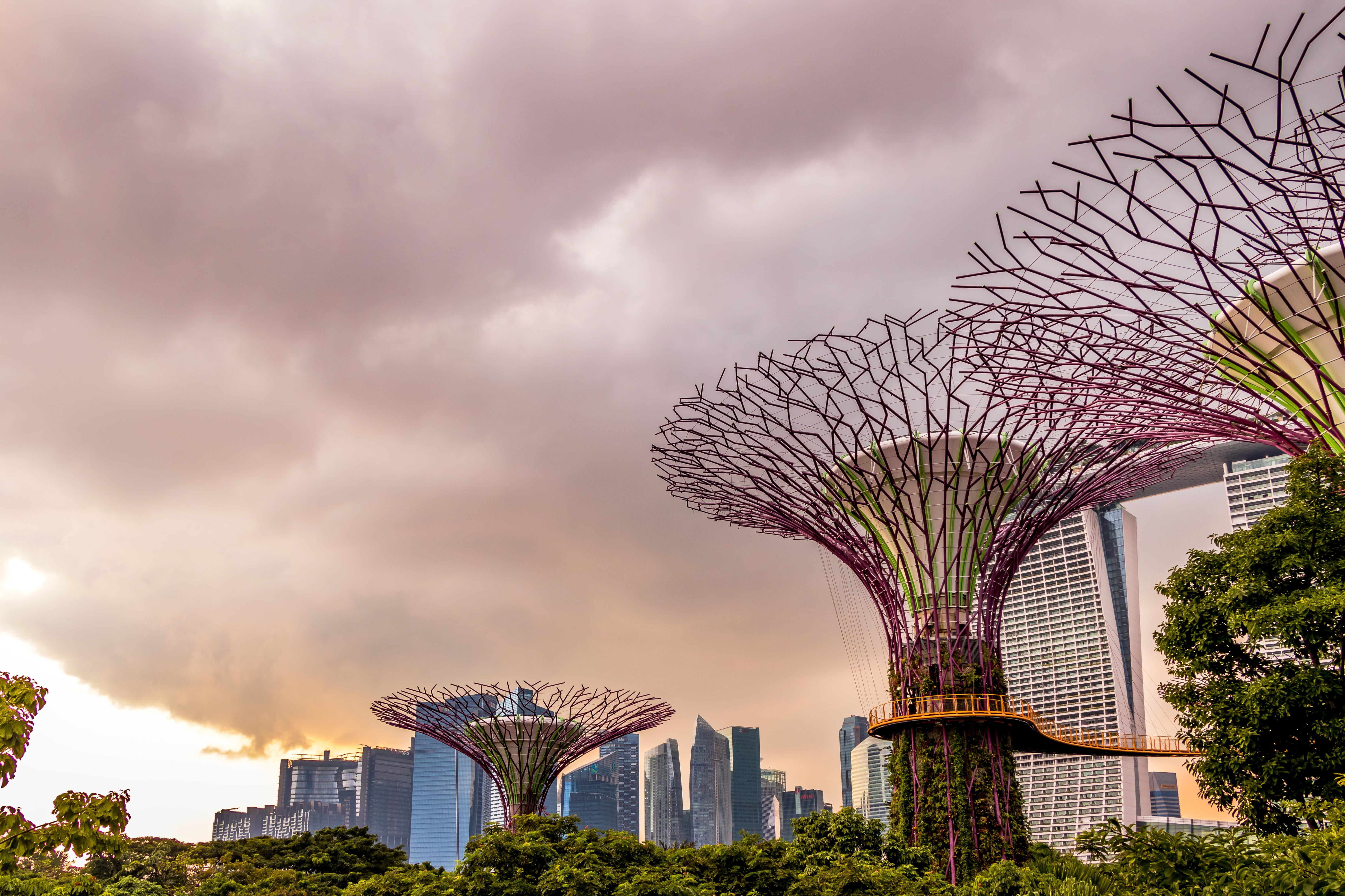 nature, garden, landscape, sky, skyscraper, blue, plant, no people, singapore, office building exterior, modern, travel destinations, glass, view, the skyscraper, HD Wallpaper