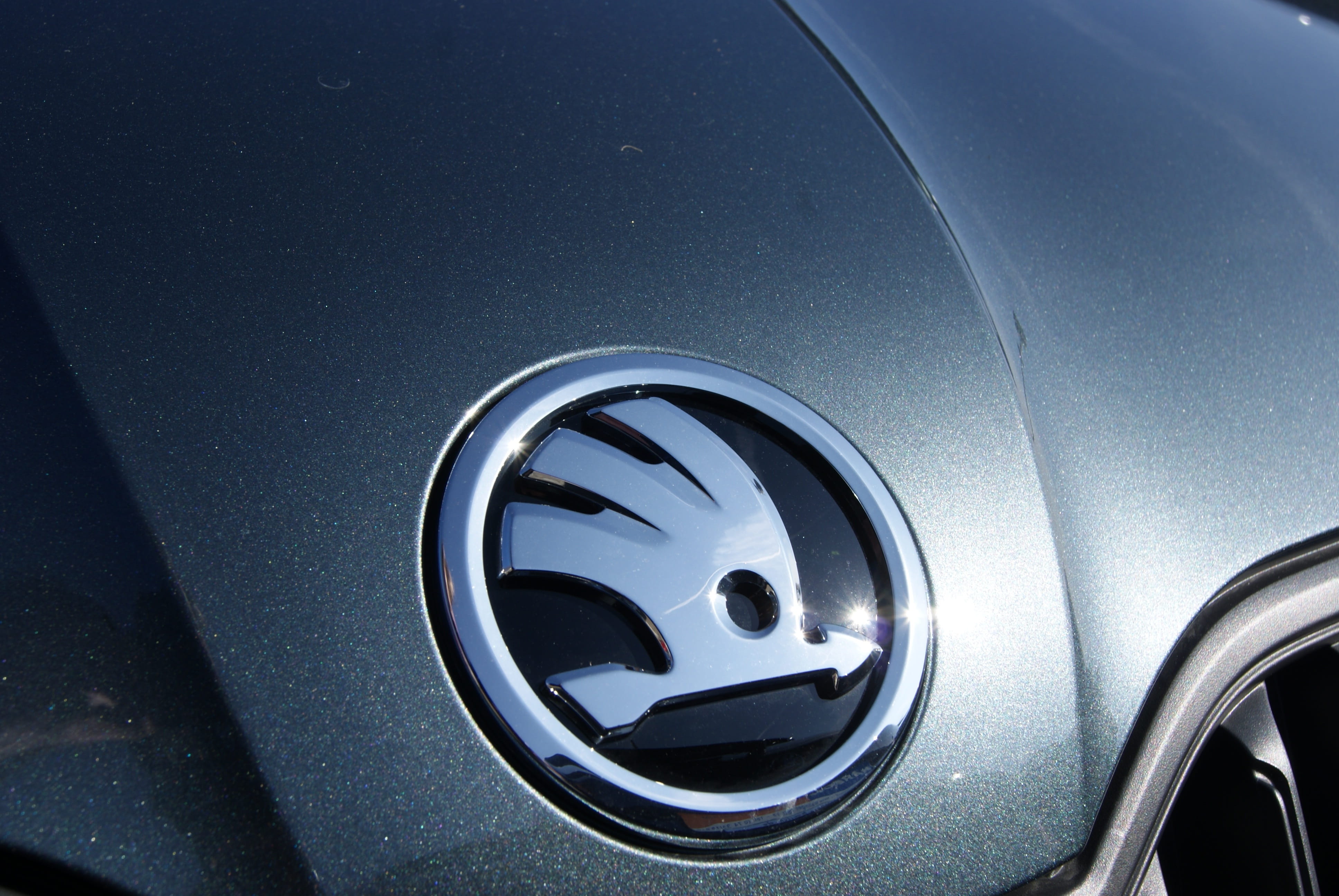 wheel, emblem, reflection, car interior, mode of transportation, skoda, transport system, glass - material, chrome, close-up, car, drive, 4K, silver colored, HD Wallpaper