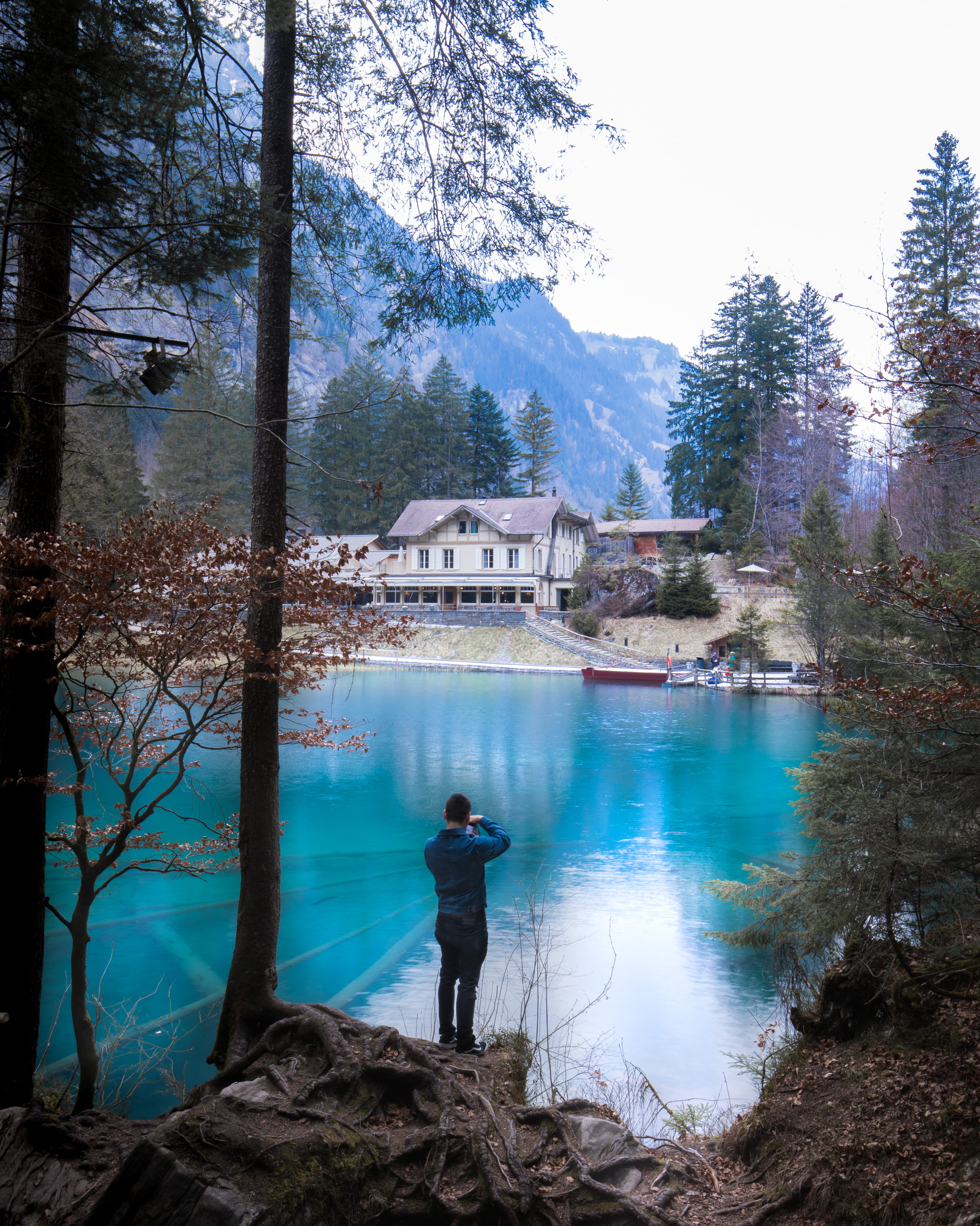 one person, abies, tree, pine, rear view, fishing, blausee switzerland lake, leisure activity, nature, human, reflection, sky, beautiful lake switzerland, Phone HD Wallpaper