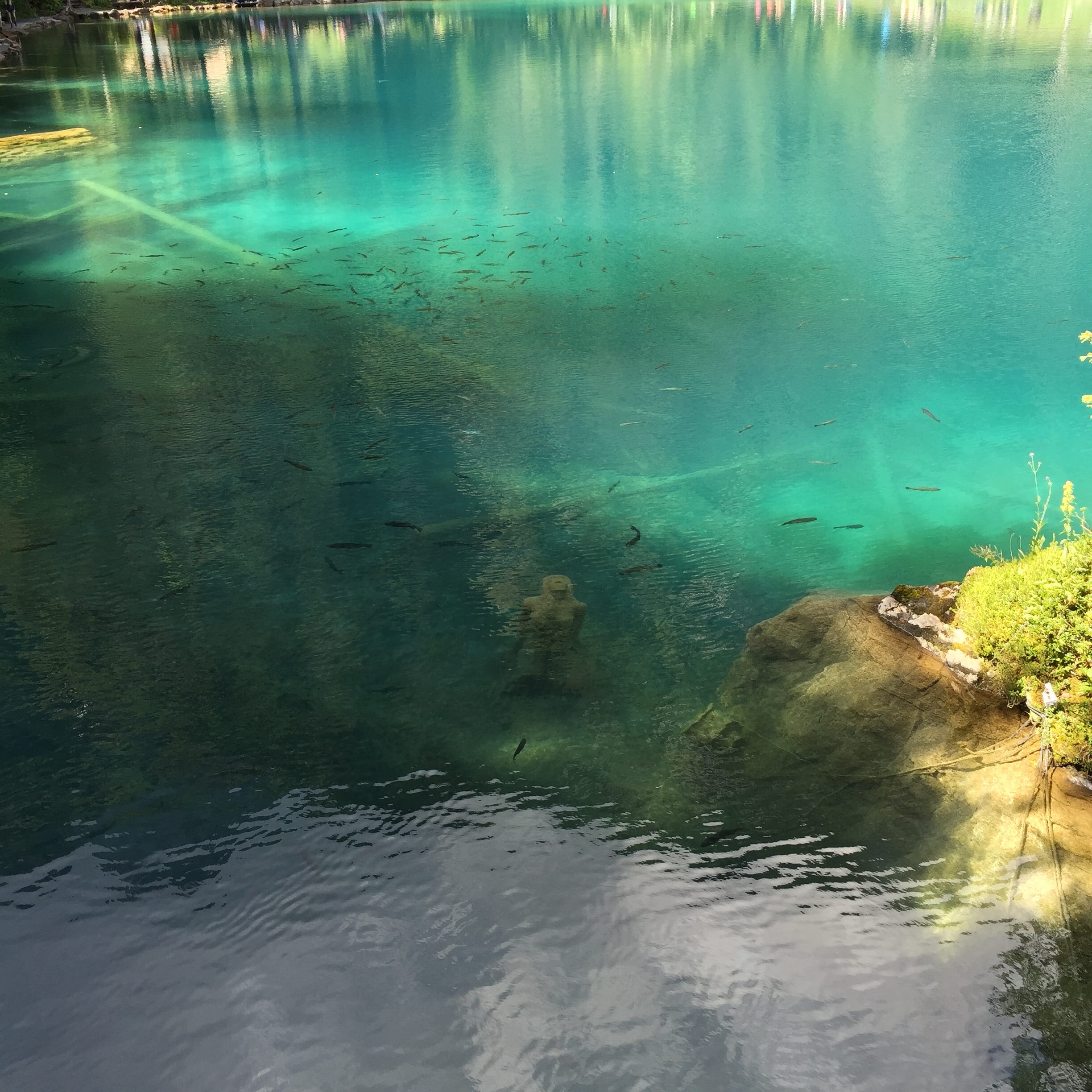 tranquil scene, lake, tranquility, waterfront, reflection, high angle view, day, heat - temperature, hidden, 1080P, turquoise colored, blausee, scenics - nature, Phone HD Wallpaper