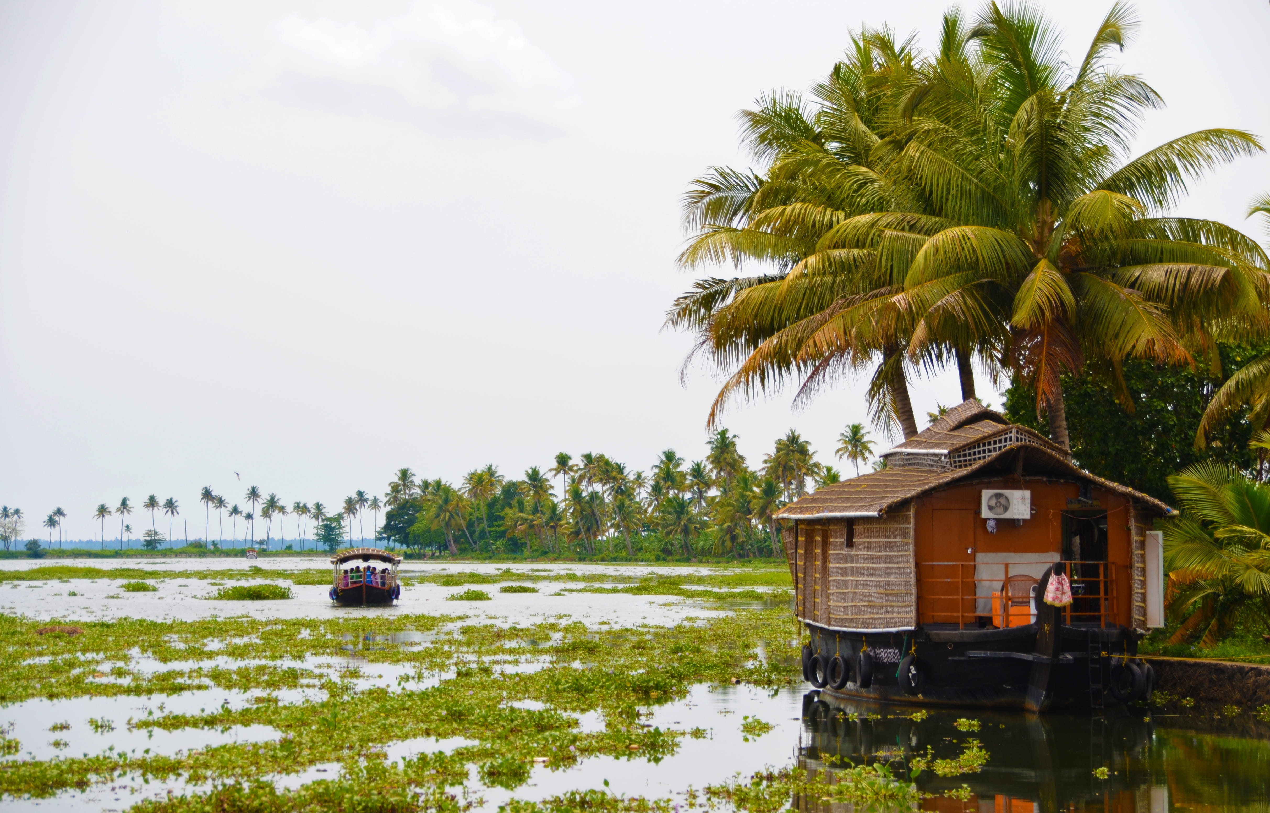 green color, house boat, backwaters, boat, tropical climate, house, no people, 4K, building, water, building exterior, day, sky, outdoors, plant, motor vehicle, HD Wallpaper