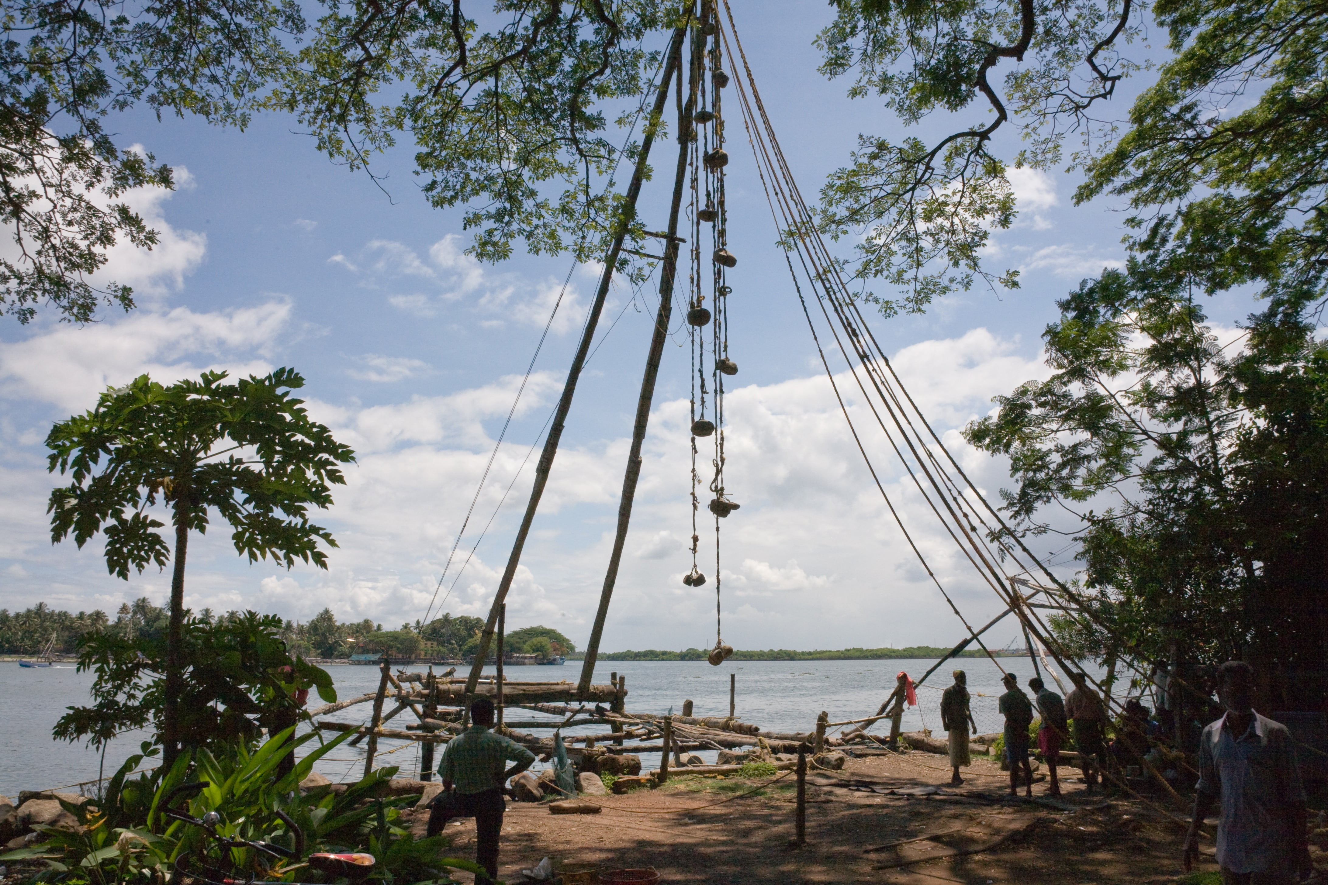 fischer, day, fishing net, india, nature, real people, outdoors, tree, 4K, leisure activity, crowd, transportation, men, large group of people, plant, HD Wallpaper