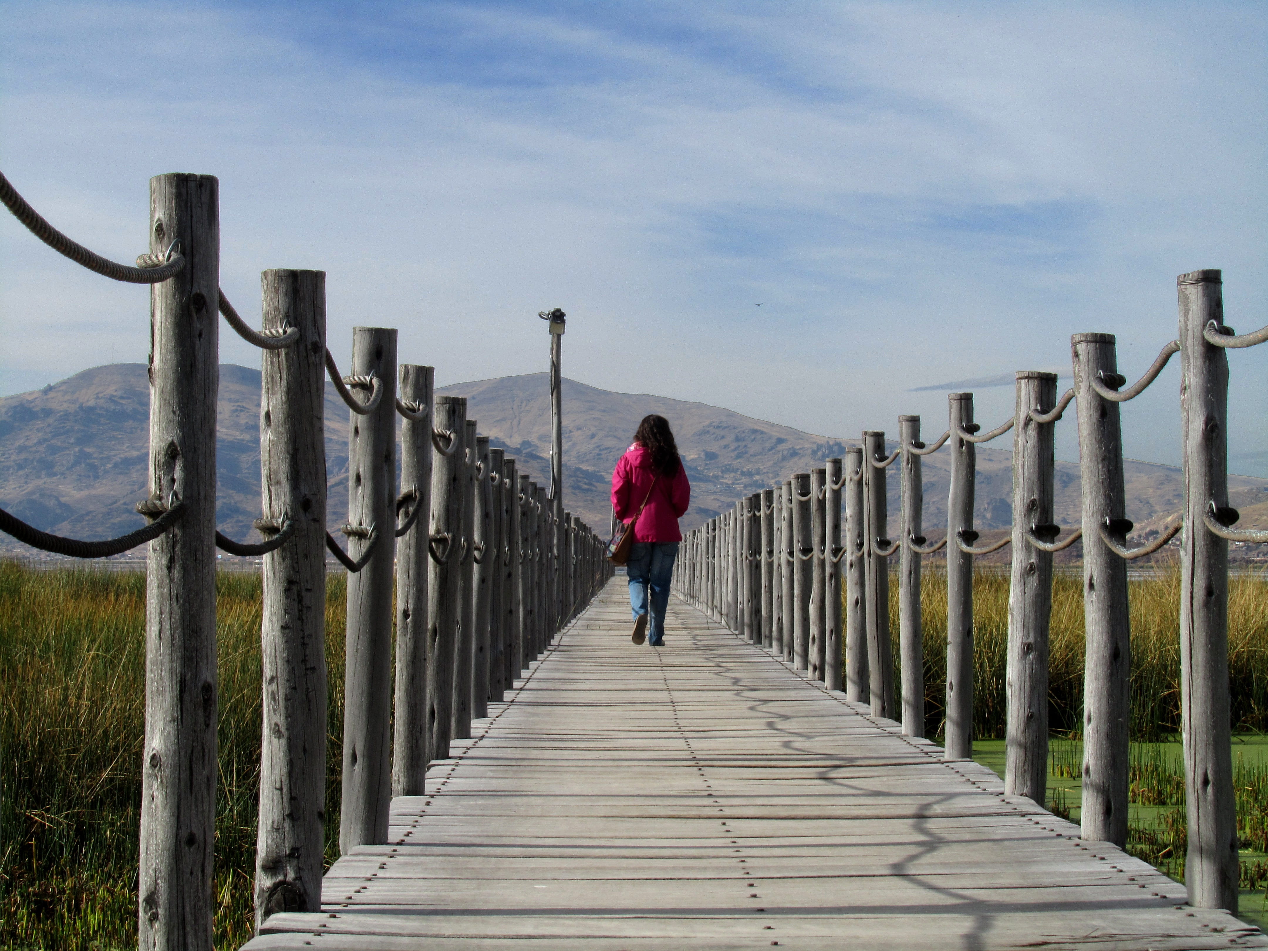 Nature, one person, adults only, full length, fence, direction, Walk, Gateway, outdoors, sky, diminishing perspective, women, standing, day, Path, wood - material, HD Wallpaper