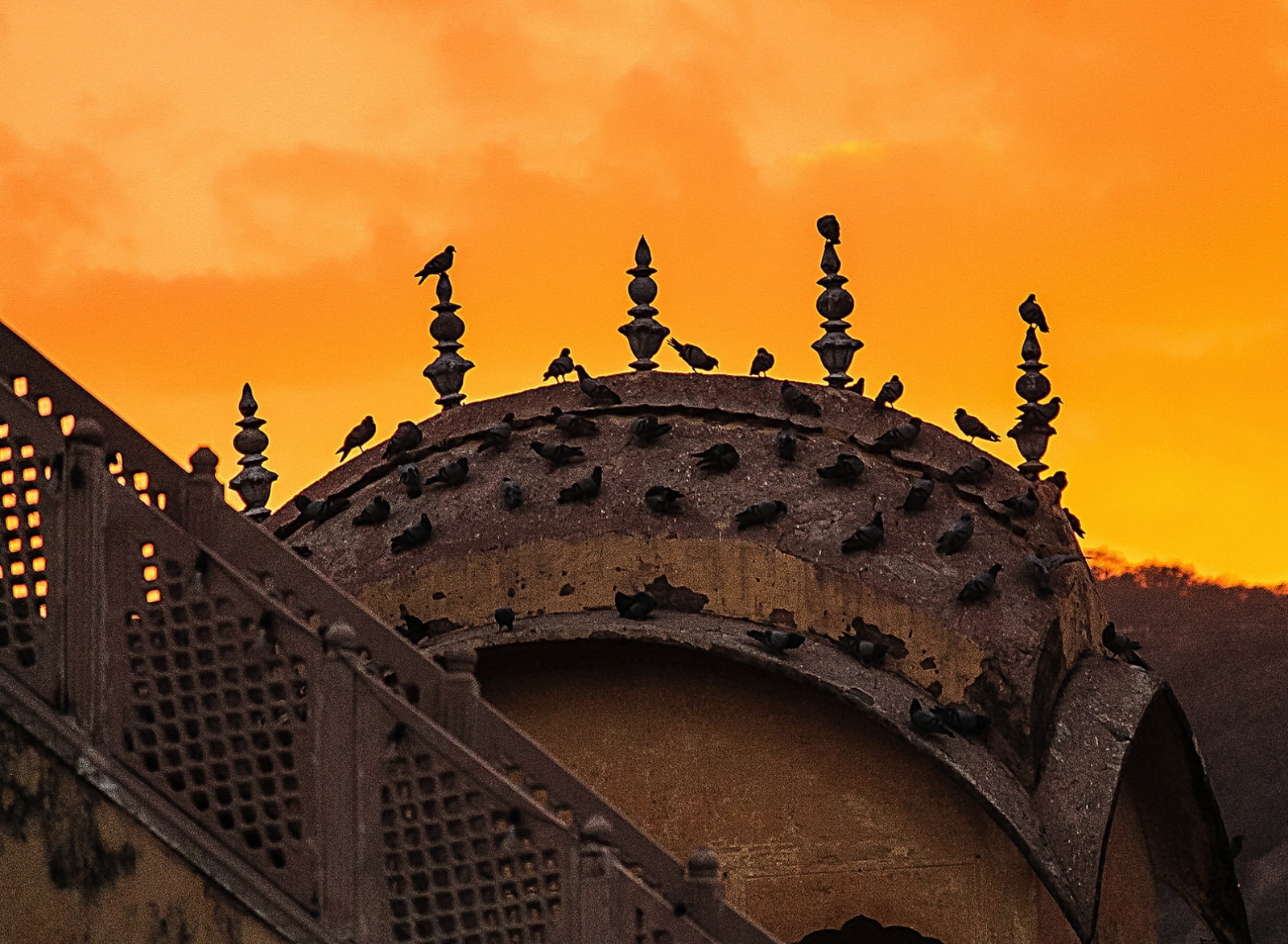 India, sunset, no people, animal, the past, 720P, travel, Asia, outdoors, mahal, travel destinations, nature, rajasthan, built structure, building exterior, HD Wallpaper
