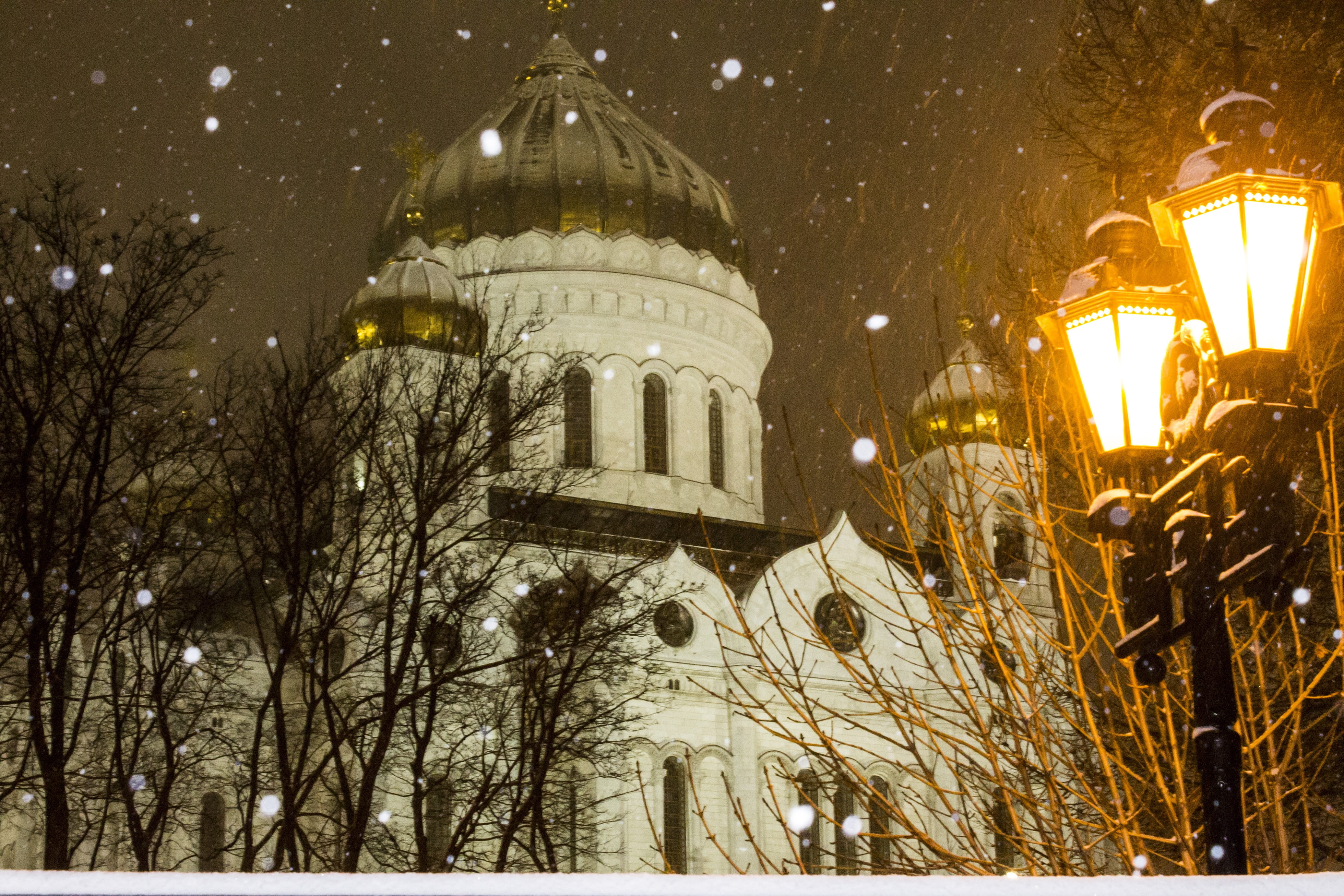 tree, winter, night city, religion, christ, illuminated, travel destinations, city, building, Cathedral, architecture, 4K, lantern, night, christmas, cold temperature, HD Wallpaper