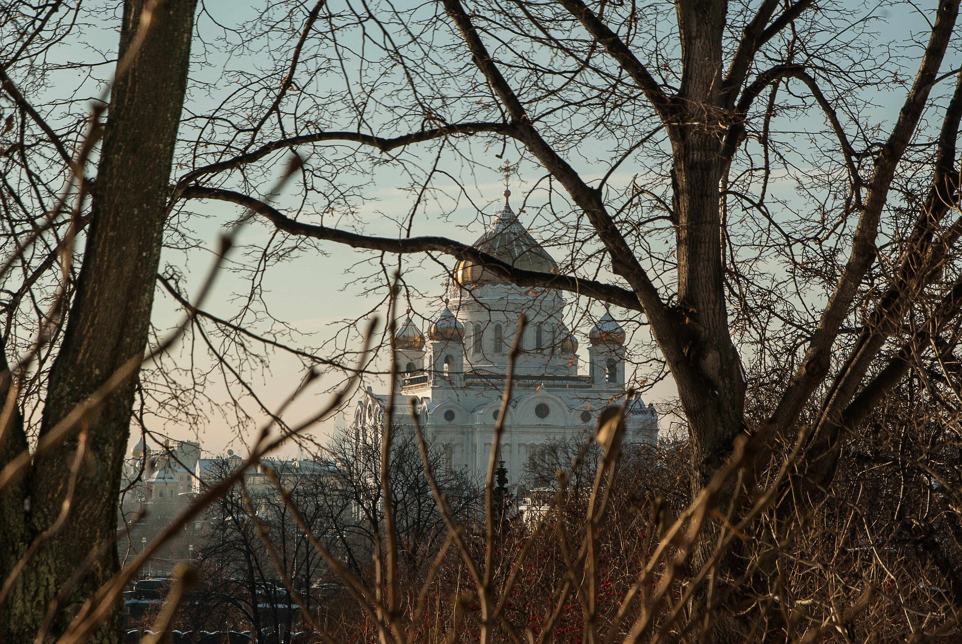 christ-savior, outdoors, cupolas, plant, tree, water, branch, day, moscow, building exterior, cold temperature, trunk, building, 2K, cathedral, tree trunk, HD Wallpaper