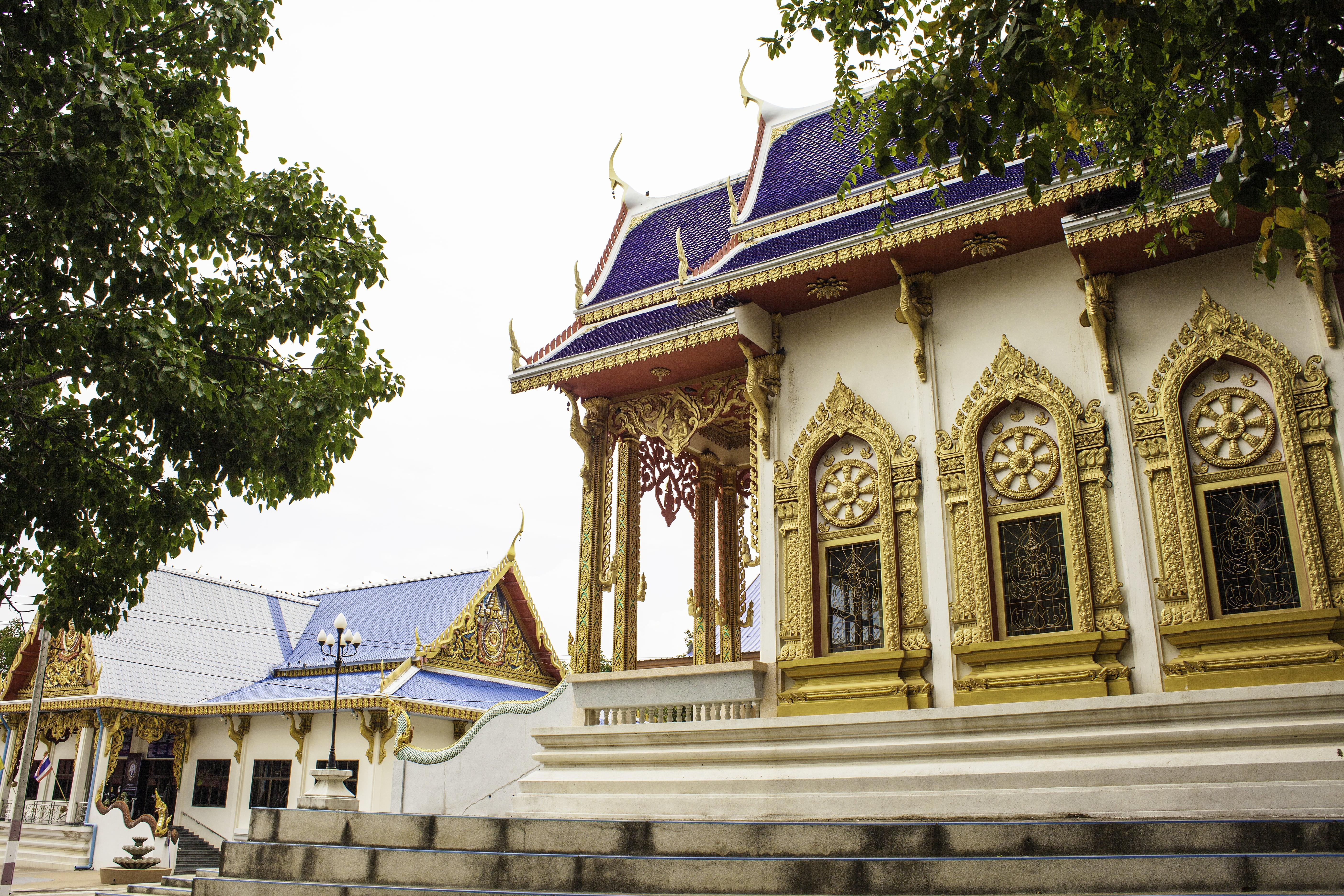 plant, architecture, travel destinations, place of worship, temple, the past, history, belief, buddhism, nature, low angle view, cultures, khon--kaen, ubolratana, HD Wallpaper