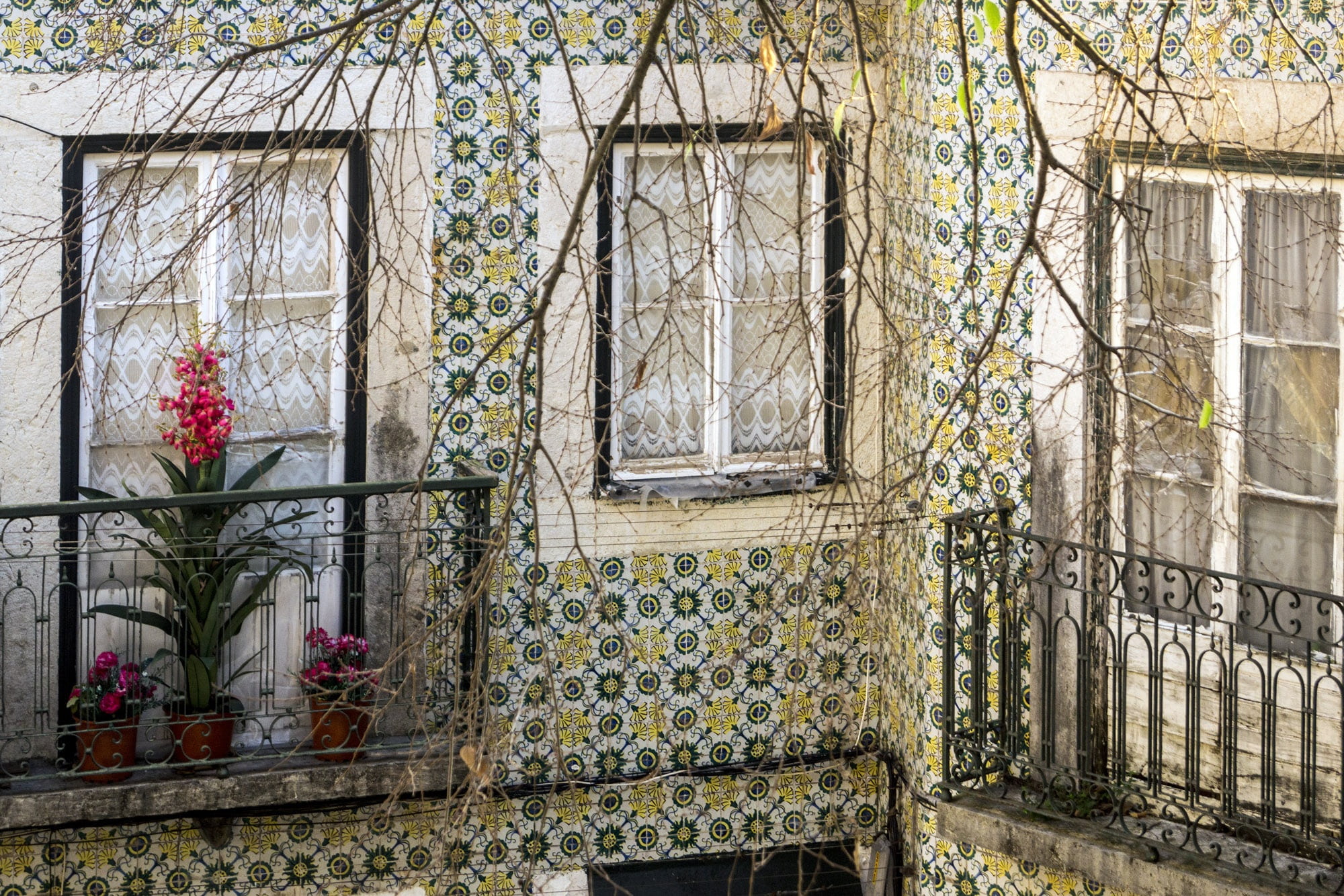 outdoors, pattern, tile, house, lisbon, 1080P, no people, tree, glass - material, alfama, nature, day, architecture, building, wall - building feature, HD Wallpaper