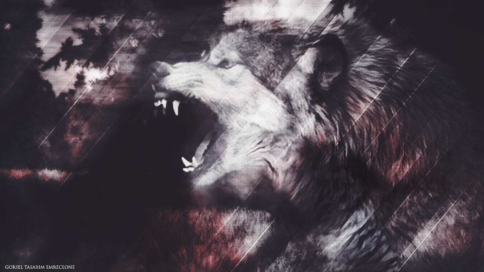 720P, wolf, Lycan, HD Wallpaper
