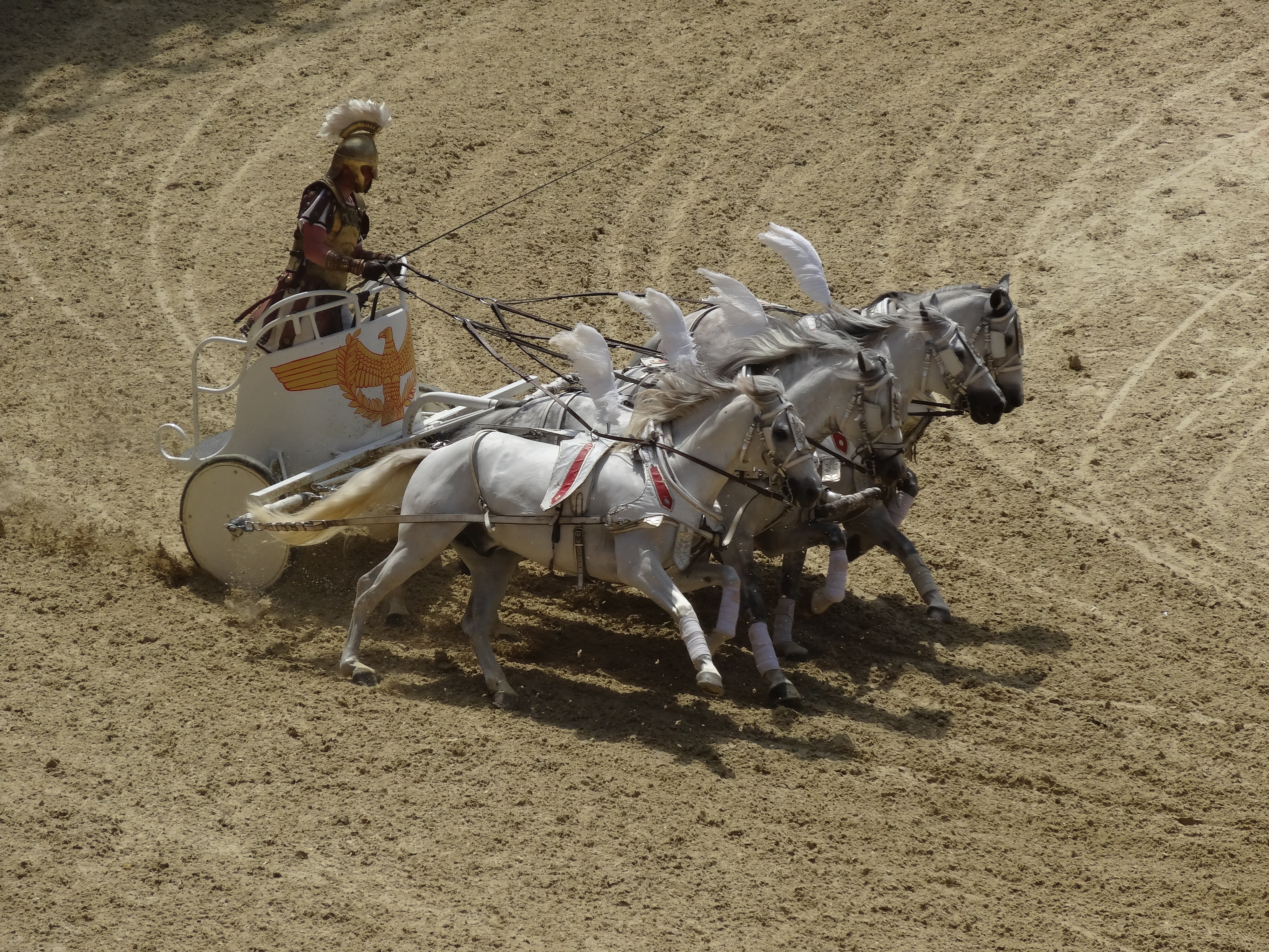 real people, helmet, mammal, adults only, empire, sports race, outdoors, vertebrate, adult, field, chariot, desert, day, two animals, arena, riding, galea, HD Wallpaper