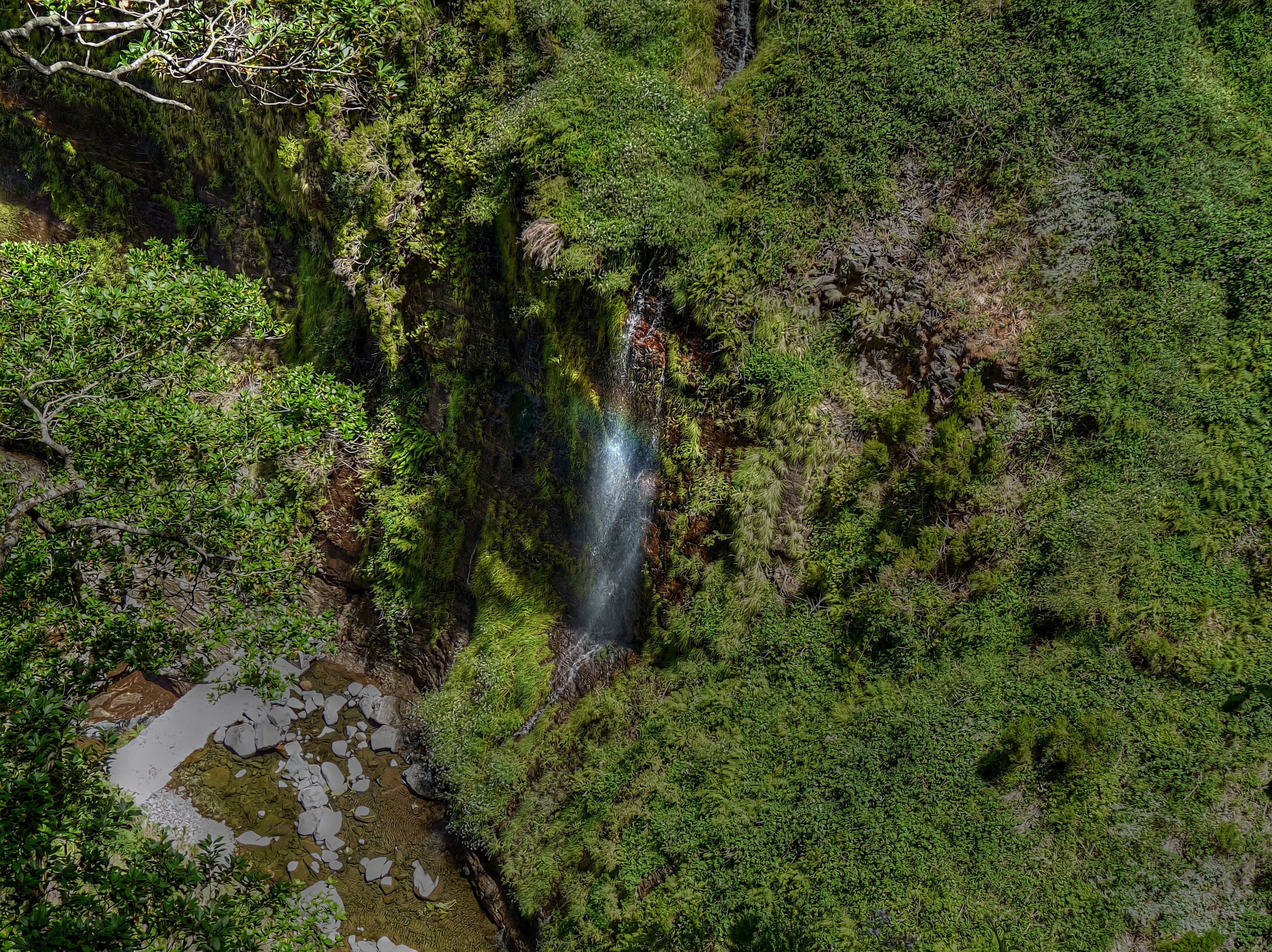 plant, azulejos, madeira, hiking, high angle view, high, mountains, day, rock, moss, tree, 2K, long exposure, tranquil scene, scenics - nature, green color, HD Wallpaper