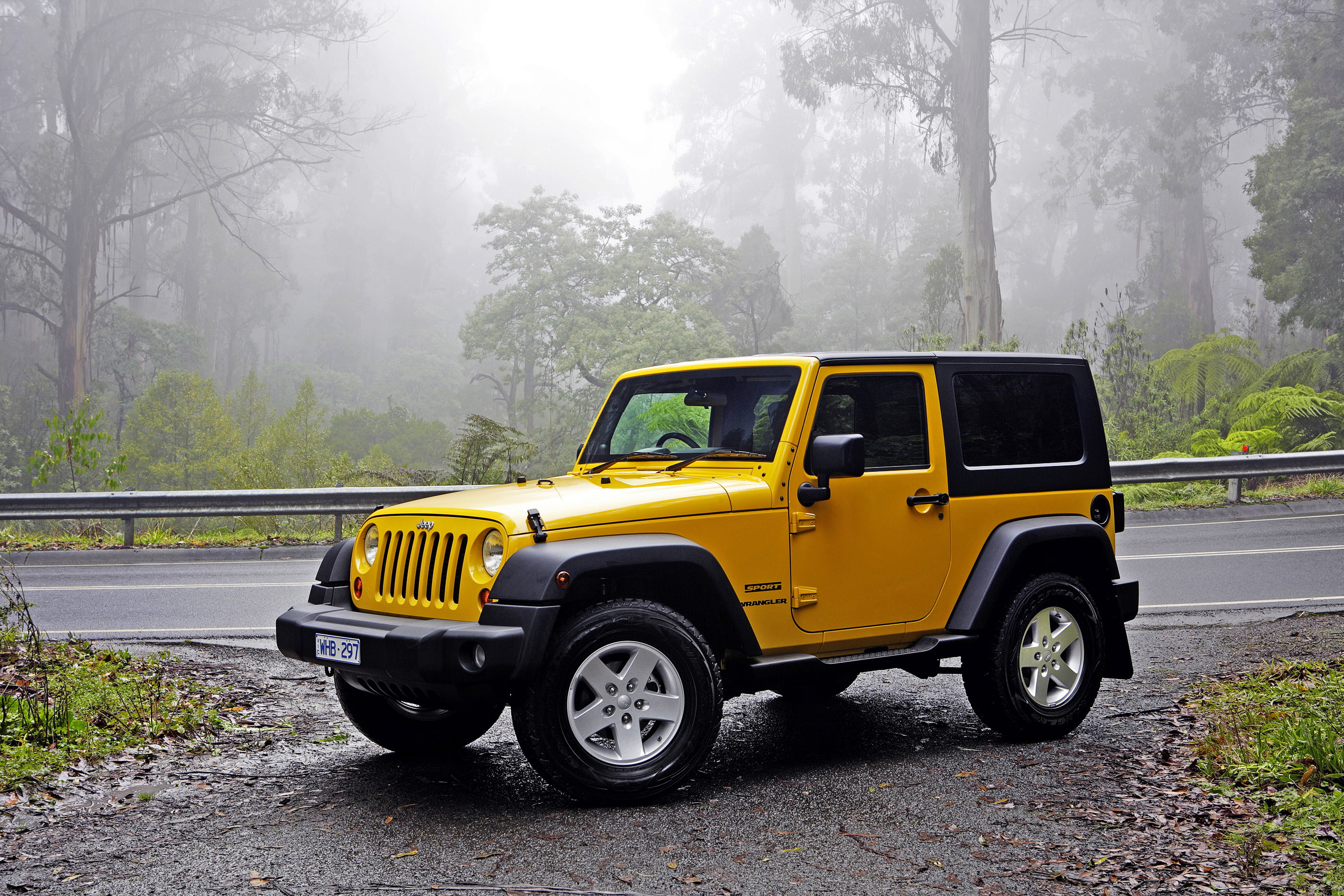 road, yellow, wheel, rubicon, Jeep, plant, wet, no people, day, street, motor vehicle, Wrangler, outdoors, car, 2K, land vehicle, city, fog, transportation, HD Wallpaper