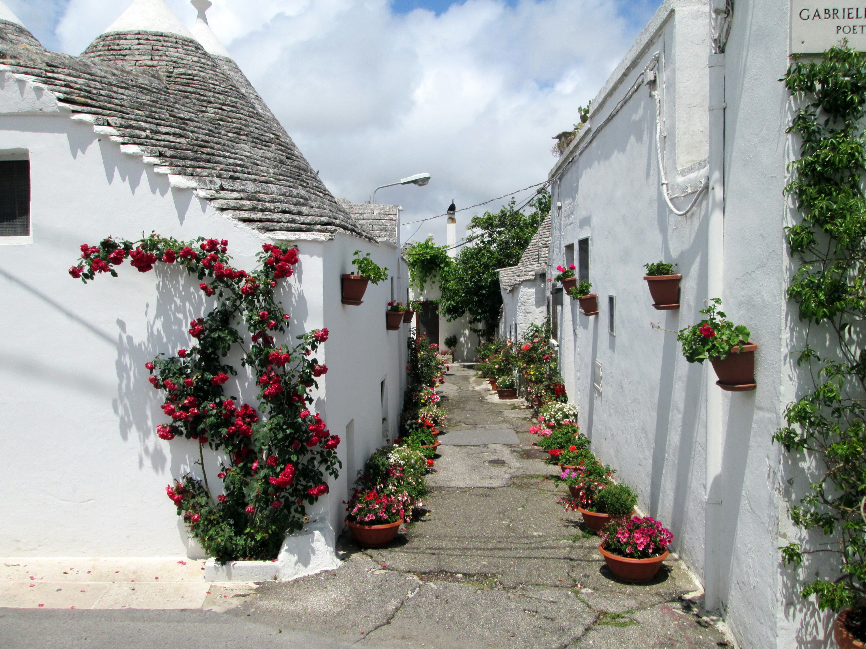pots, flower Pot, summer, direction, travel, door, plant, greece, window, day, decoration, facade, building, the way forward, nature, town, building Exterior, HD Wallpaper