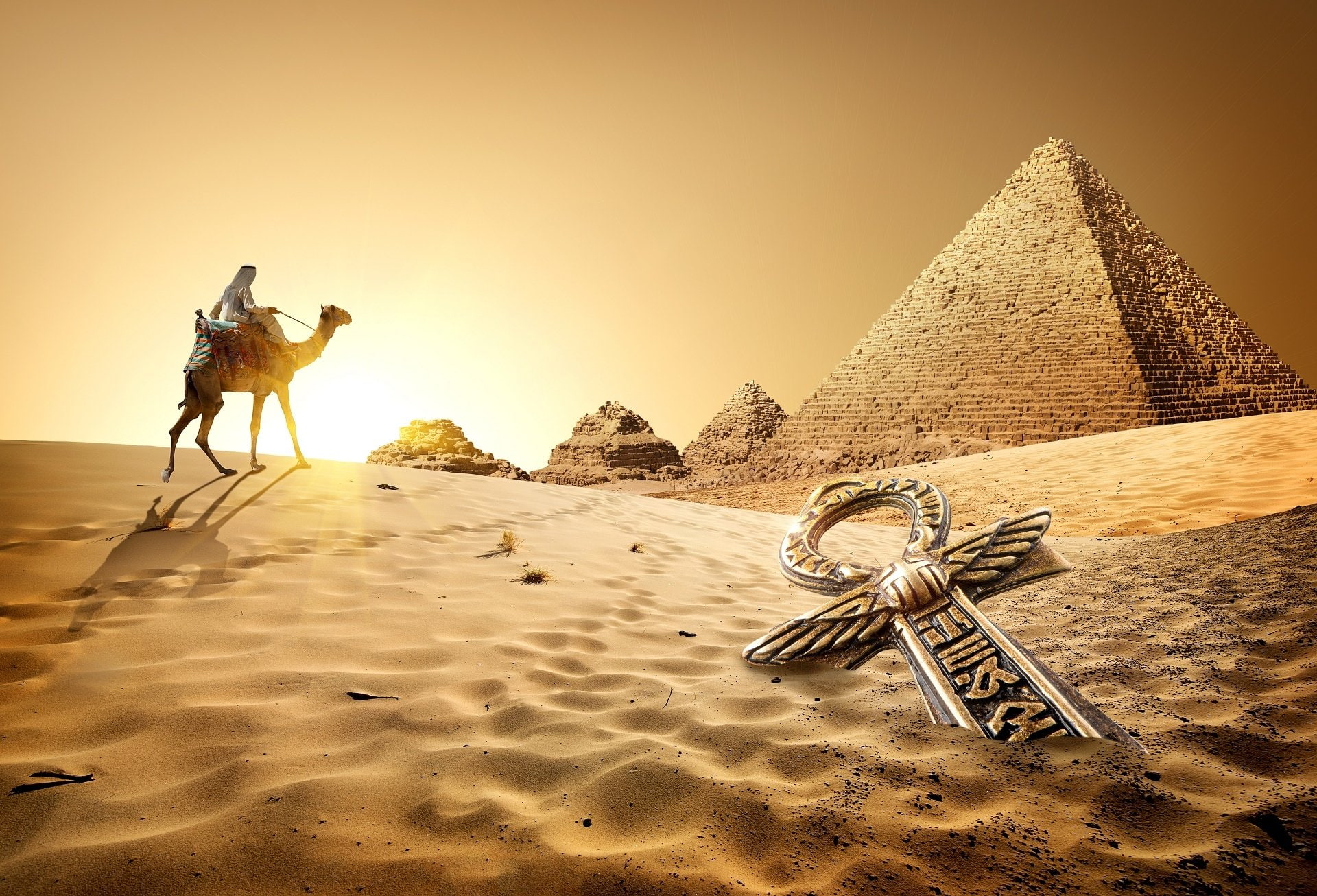 Egyptian, 1080P, Camel, Man Made, Pyramid, HD Wallpaper