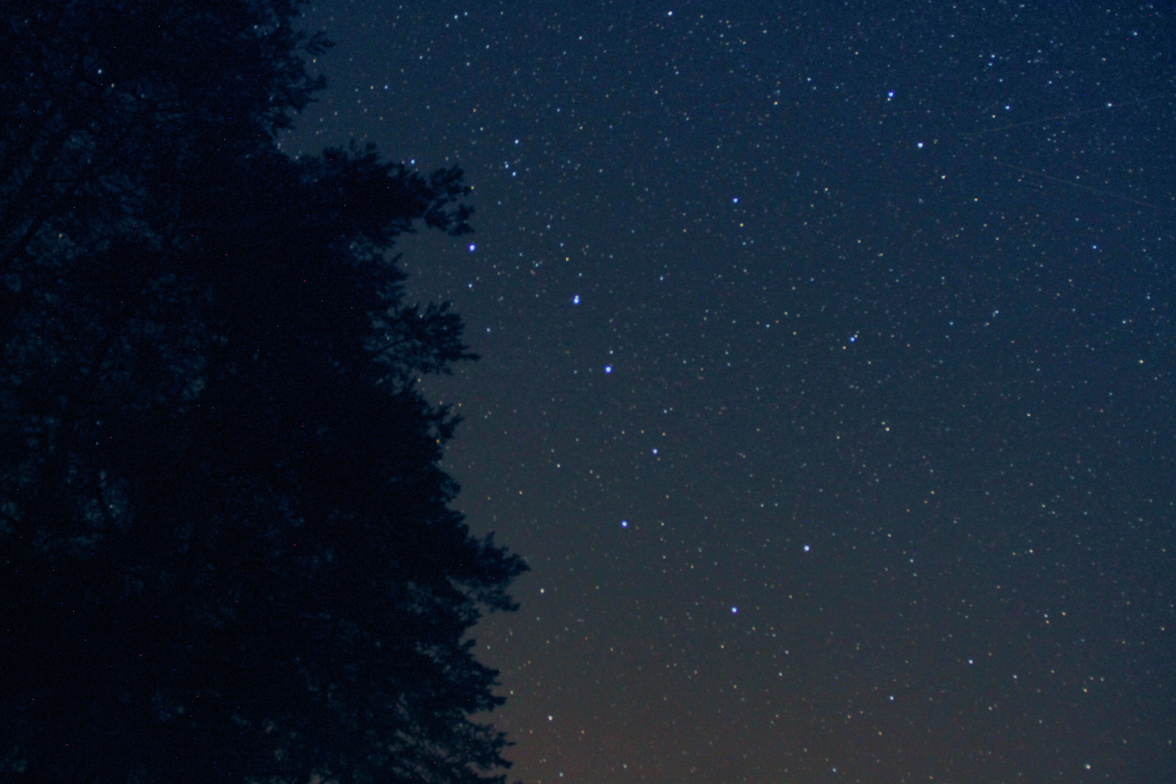 silhouette, space, constellation, united states, luminosity, plant, scenics - nature, summer sky, tranquility, wellsville, nature, star - space, star, tranquil scene, HD Wallpaper