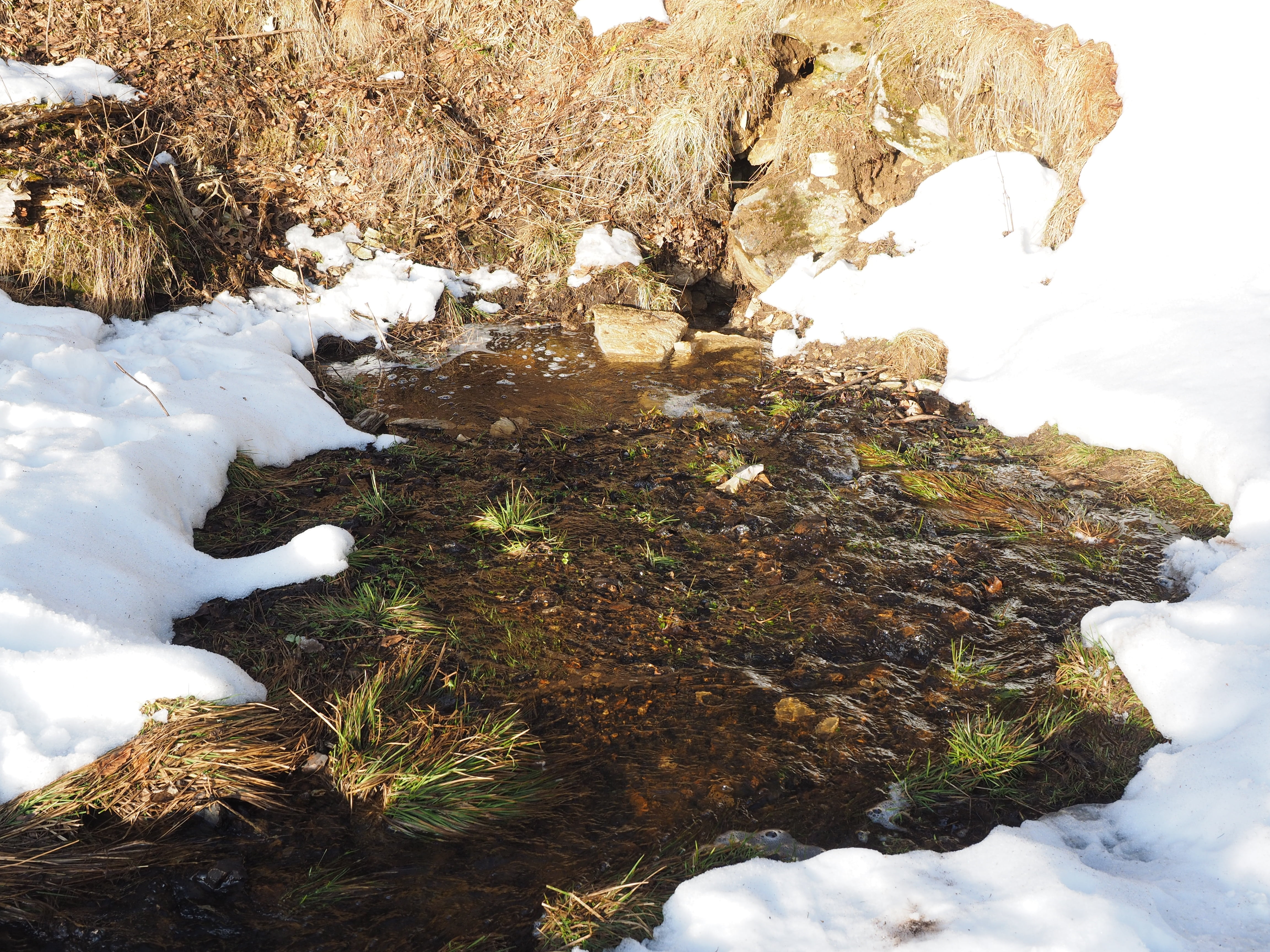 beauty in nature, swabian alb, growth, outdoors, rock - object, tranquility, snow melt, sinkhole, seepage site, pond, nature, 4K, high angle view, walker meadows, HD Wallpaper