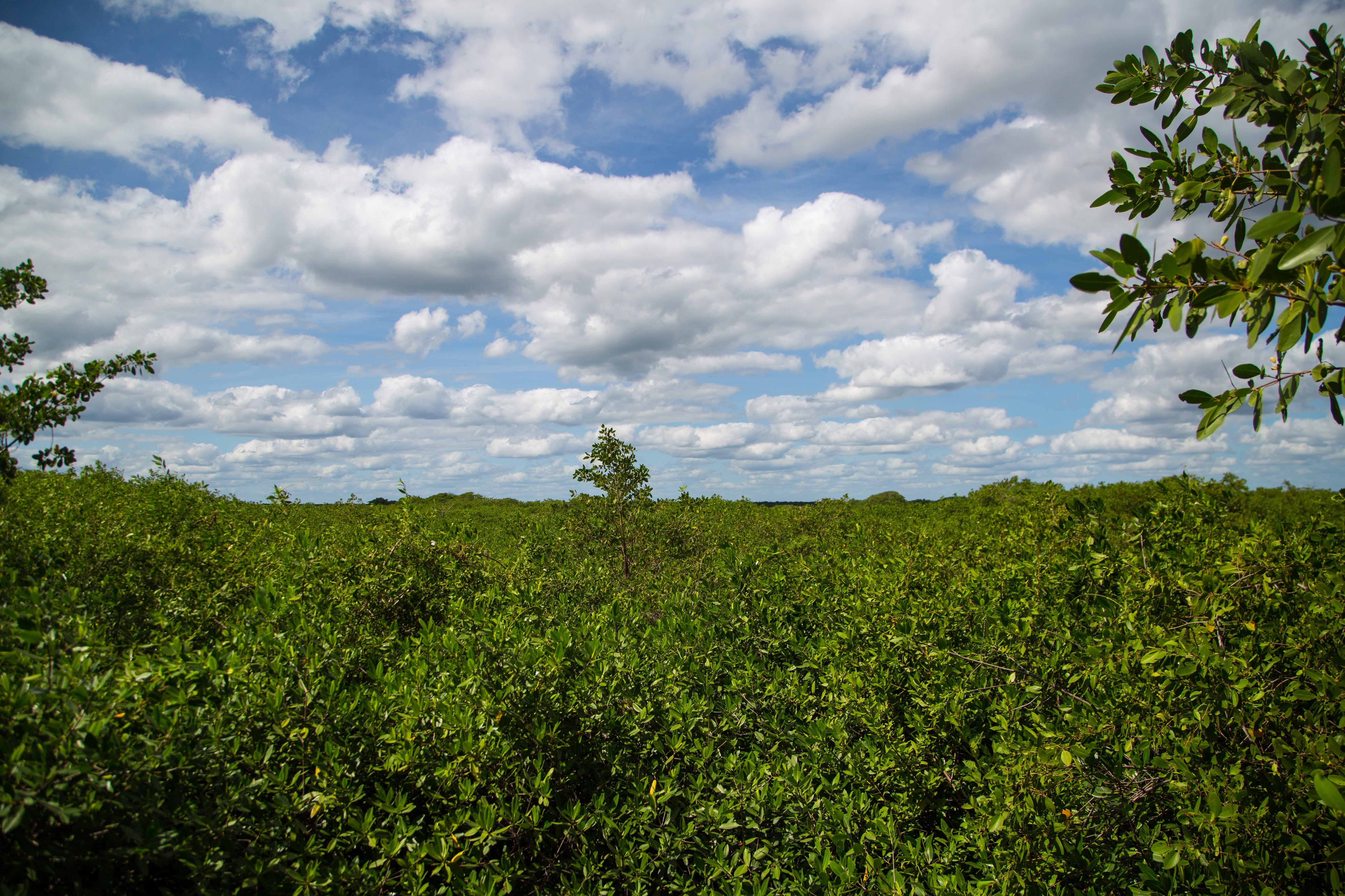 cumulus, no people, pachamama, azure sky, land, tranquil scene, environment, outdoors, skyporn, clouds, green color, cloud, scenics - nature, idyllic, grassland, HD Wallpaper