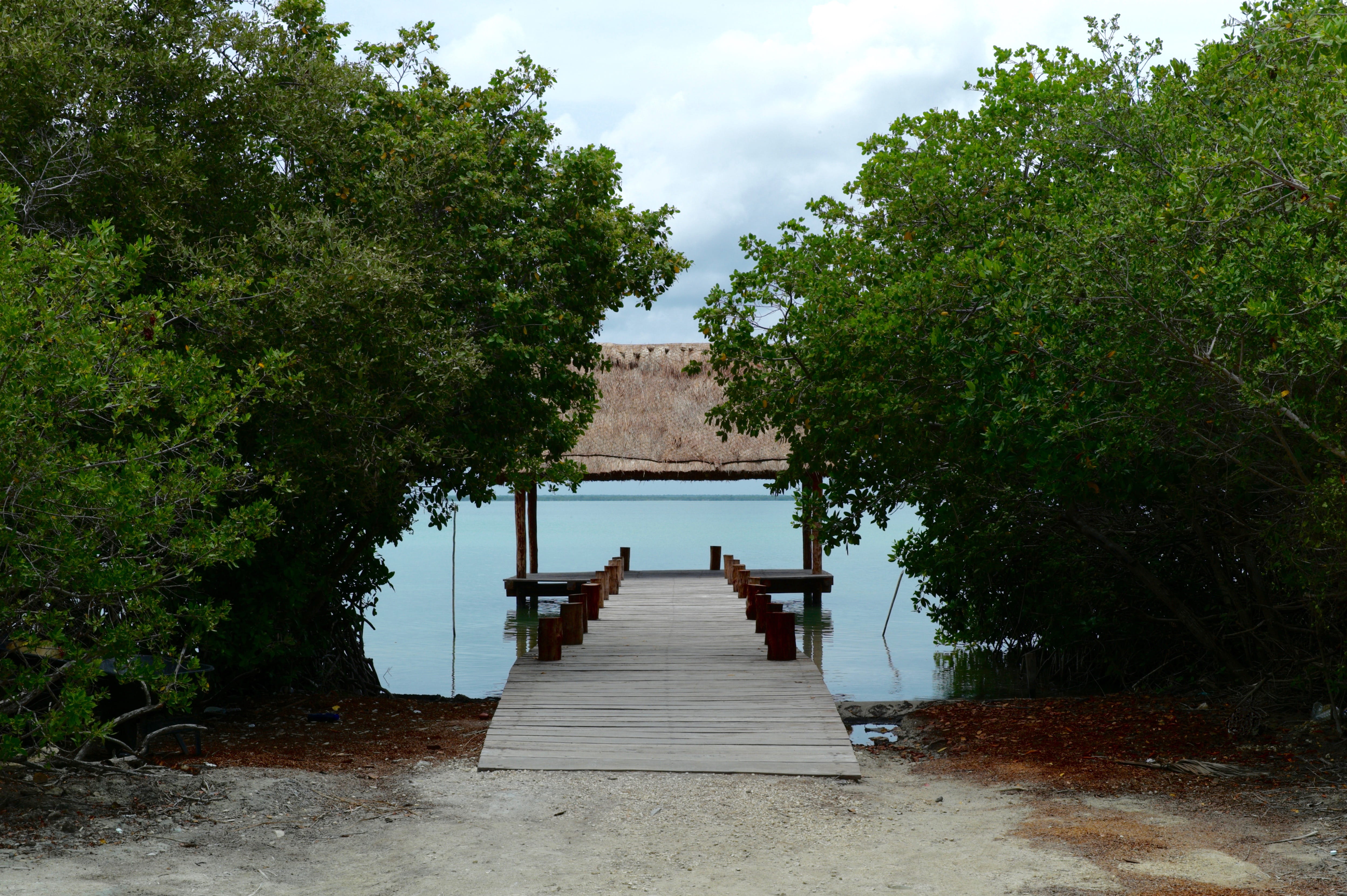 no people, direction, jungle, lake, tranquility, tulum, the way forward, water, mexico, sky, built structure, tree, 4K, cloud - sky, architecture, outdoors, HD Wallpaper