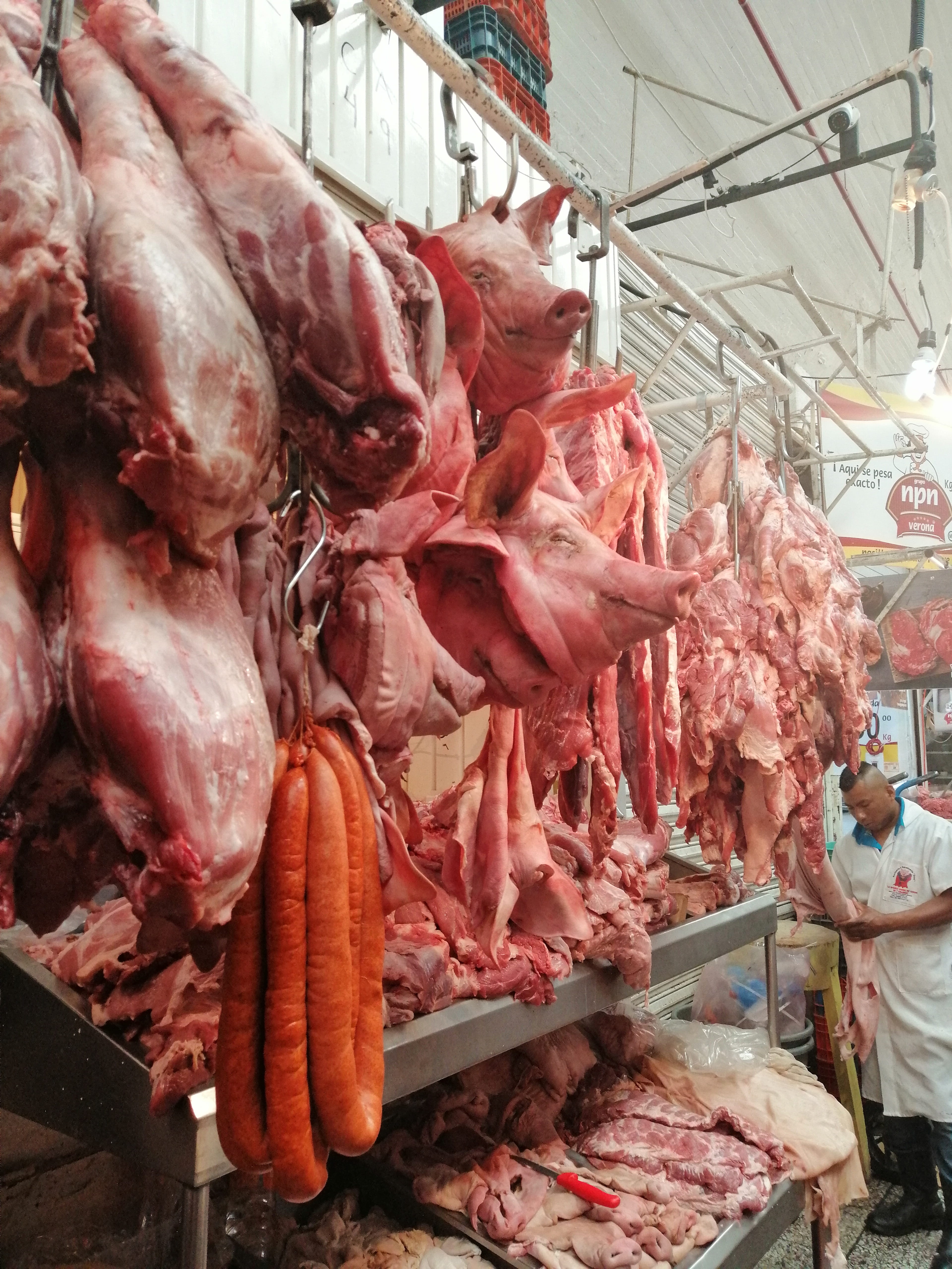 freshness, retail display, abundance, coat, ciudad de mexico, clothing, hanging, food and drink, store, lobster, bazaar, sonorama, consumerism, person, Phone HD Wallpaper