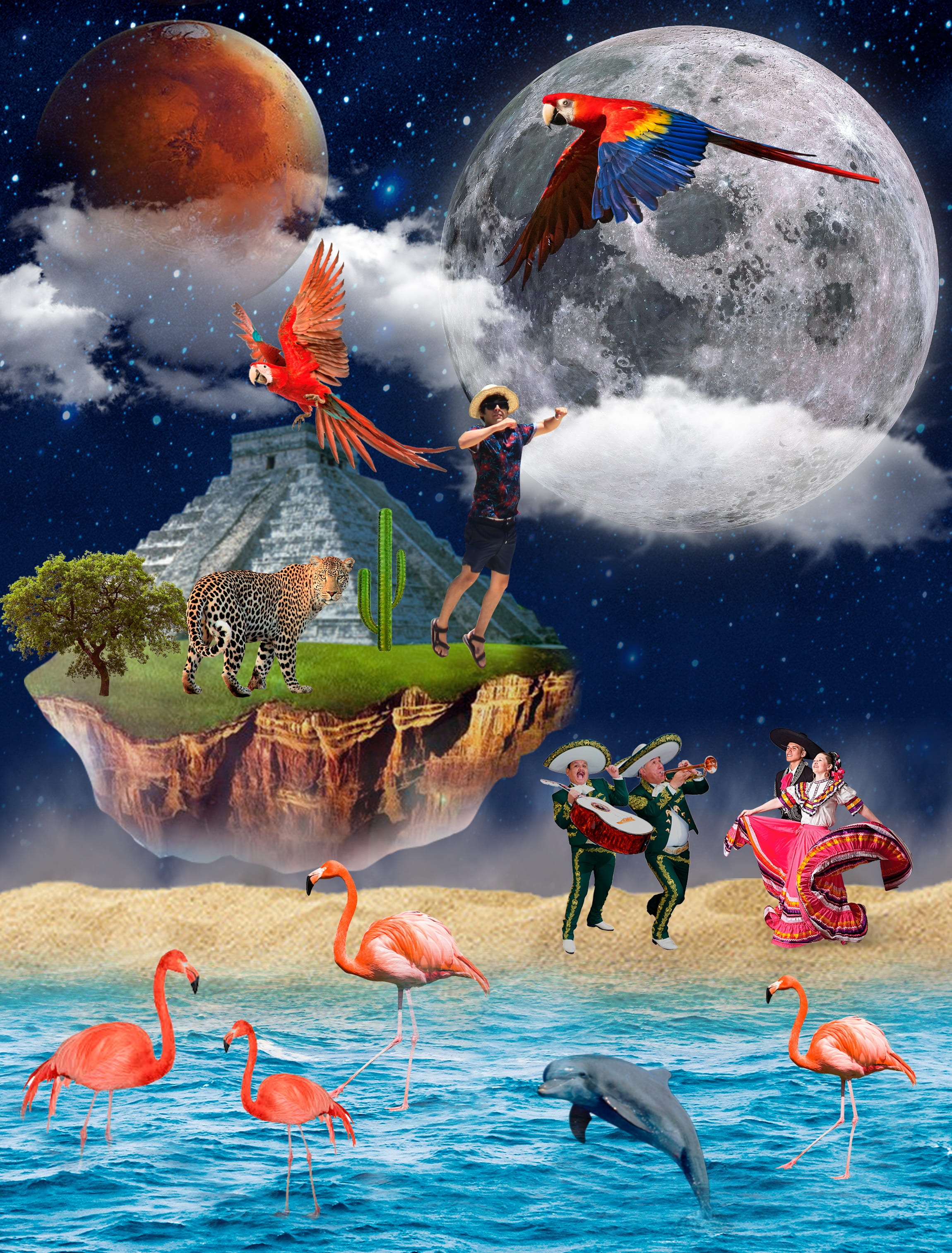  group of people, sea, dolphin, land, digital composite, moon, sky, love, men, multi colored, group of animals, people, macaw, flamingo, background, Phone HD Wallpaper