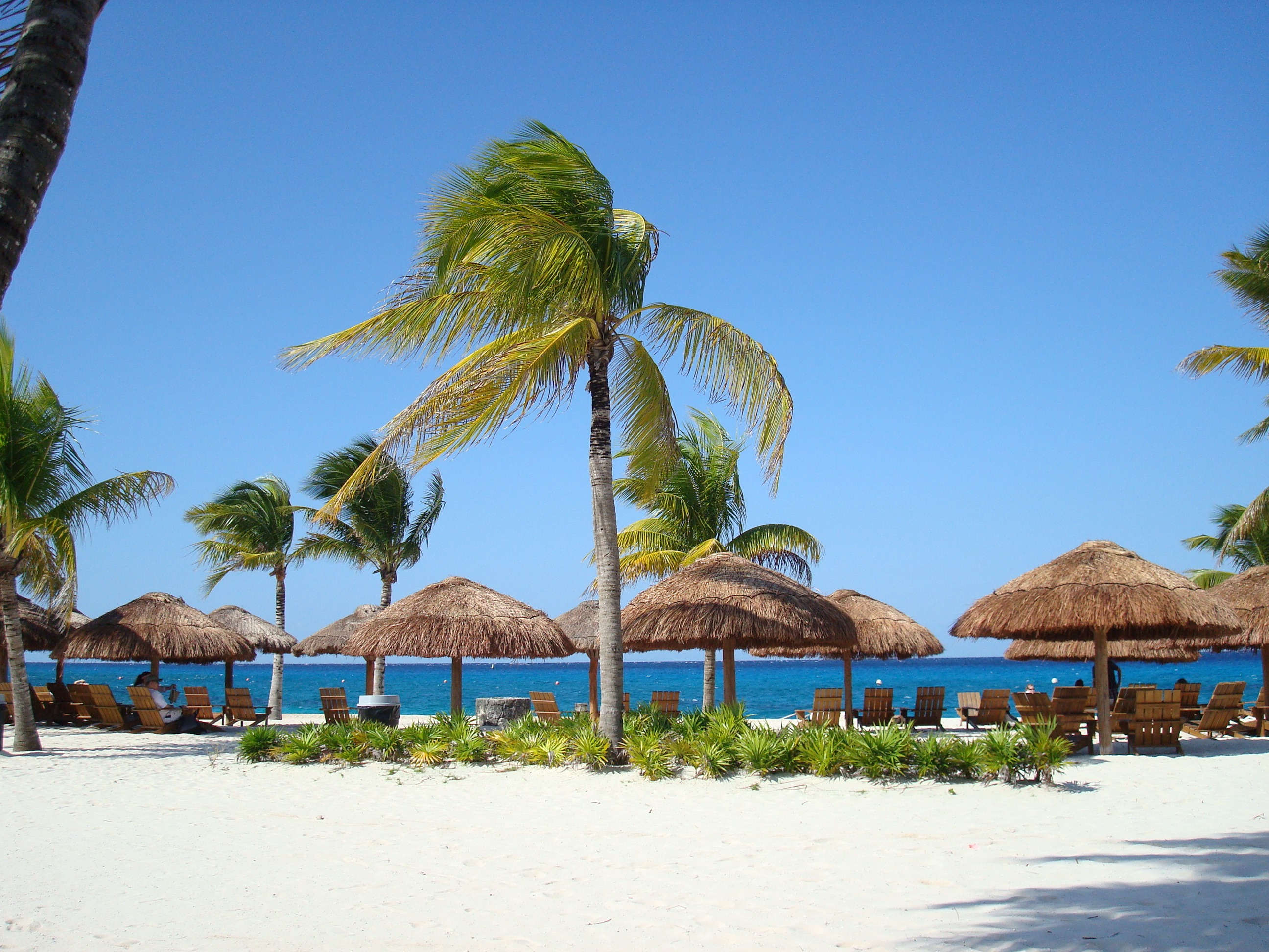 paradise, idyllic, thatched roof, mexico, caribbean, sea, tourist Resort, holidays, tranquil scene, sky, sand, brown, land, beach, blue, palm trees, romantic, HD Wallpaper