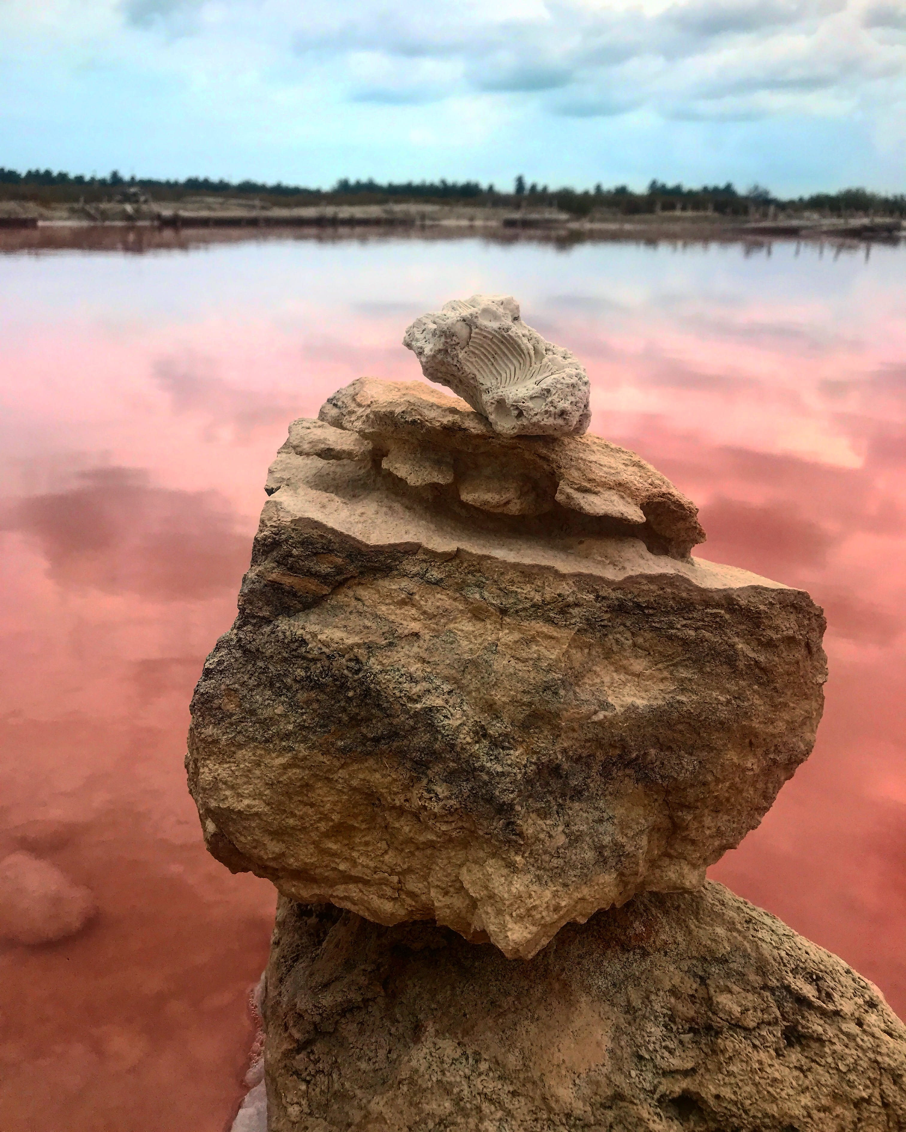 scenics - nature, nature, stone - object, archaeology, pink, sky, rock - object, no people, bird, san crisanto, tranquility, animal, 2K, lagoon, outdoors, Phone HD Wallpaper