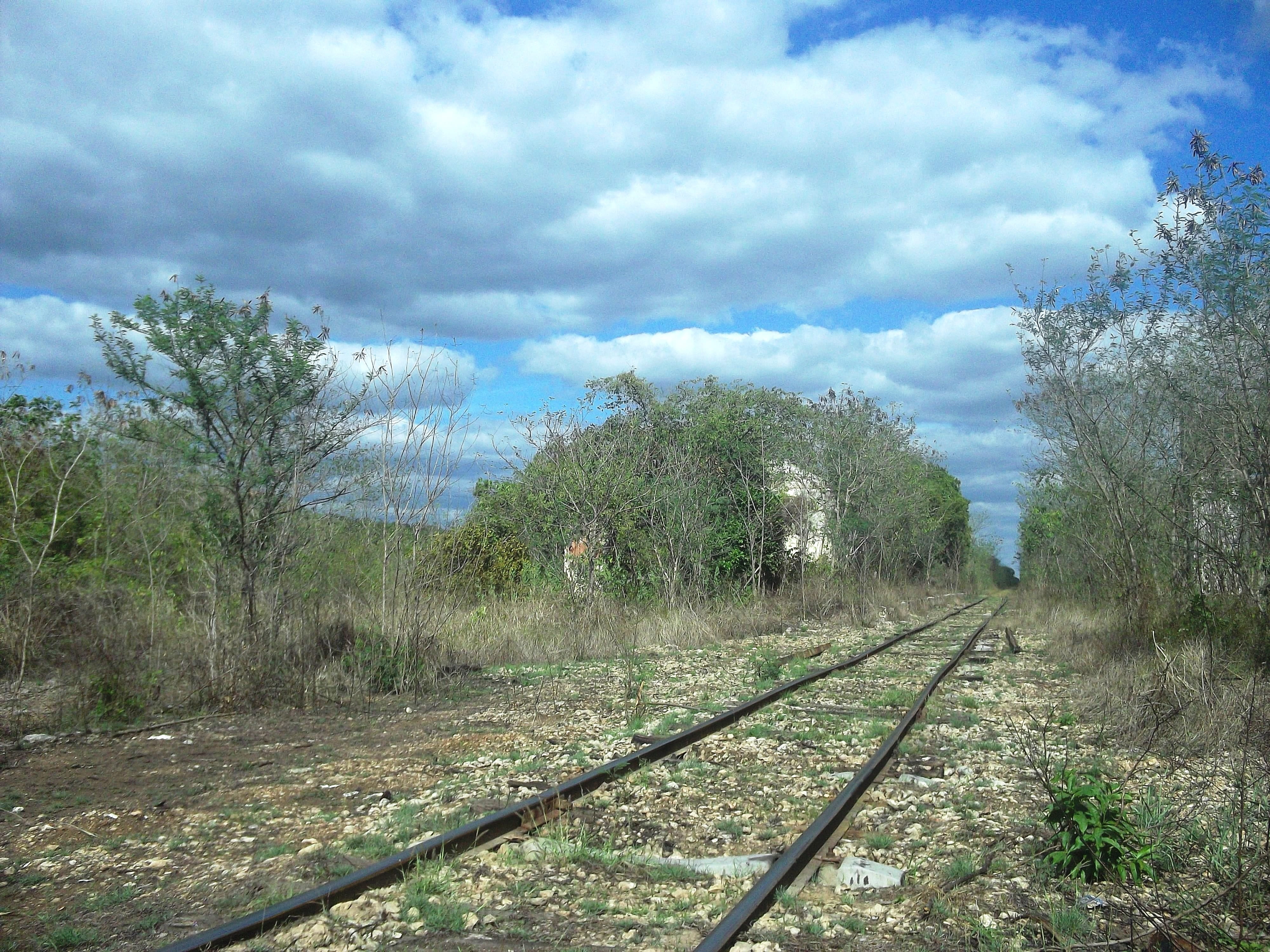 land, countryside, no people, trees, tranquility, Yucatan, Mexico, cloud - sky, day, track, scenics - nature, sky, outside, plant, environment, power supply, HD Wallpaper
