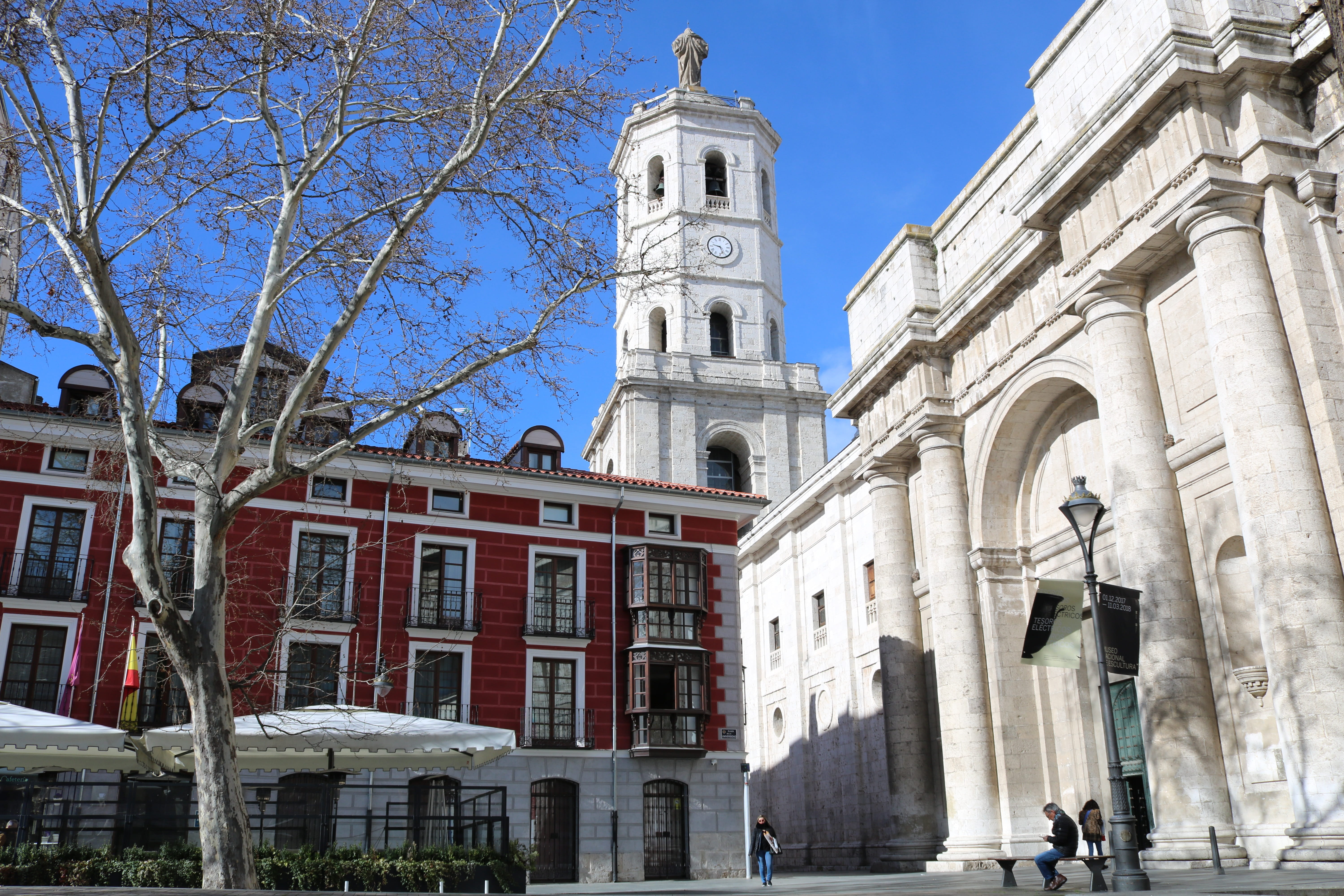 city, nature, 5K, place of worship, sky, low angle view, building, spring, the past, tree, bare tree, history, valladolid, religion, university, architecture, HD Wallpaper