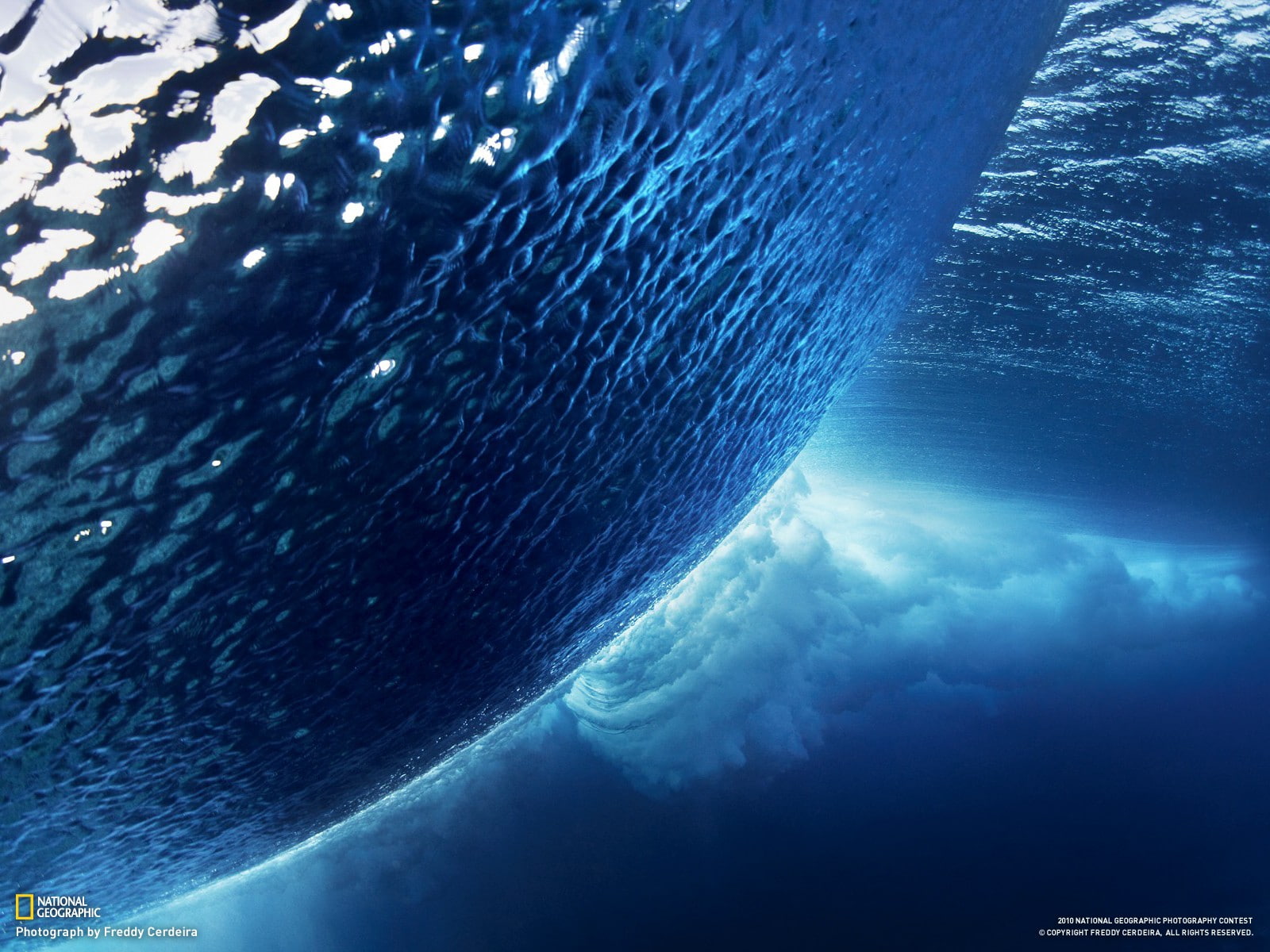 marine, aquatic sport, sea, breaking, no people, motion, waves, sea life, undersea, National Geographic, cloud - sky, sport, nature, sky, water, underwater, HD Wallpaper
