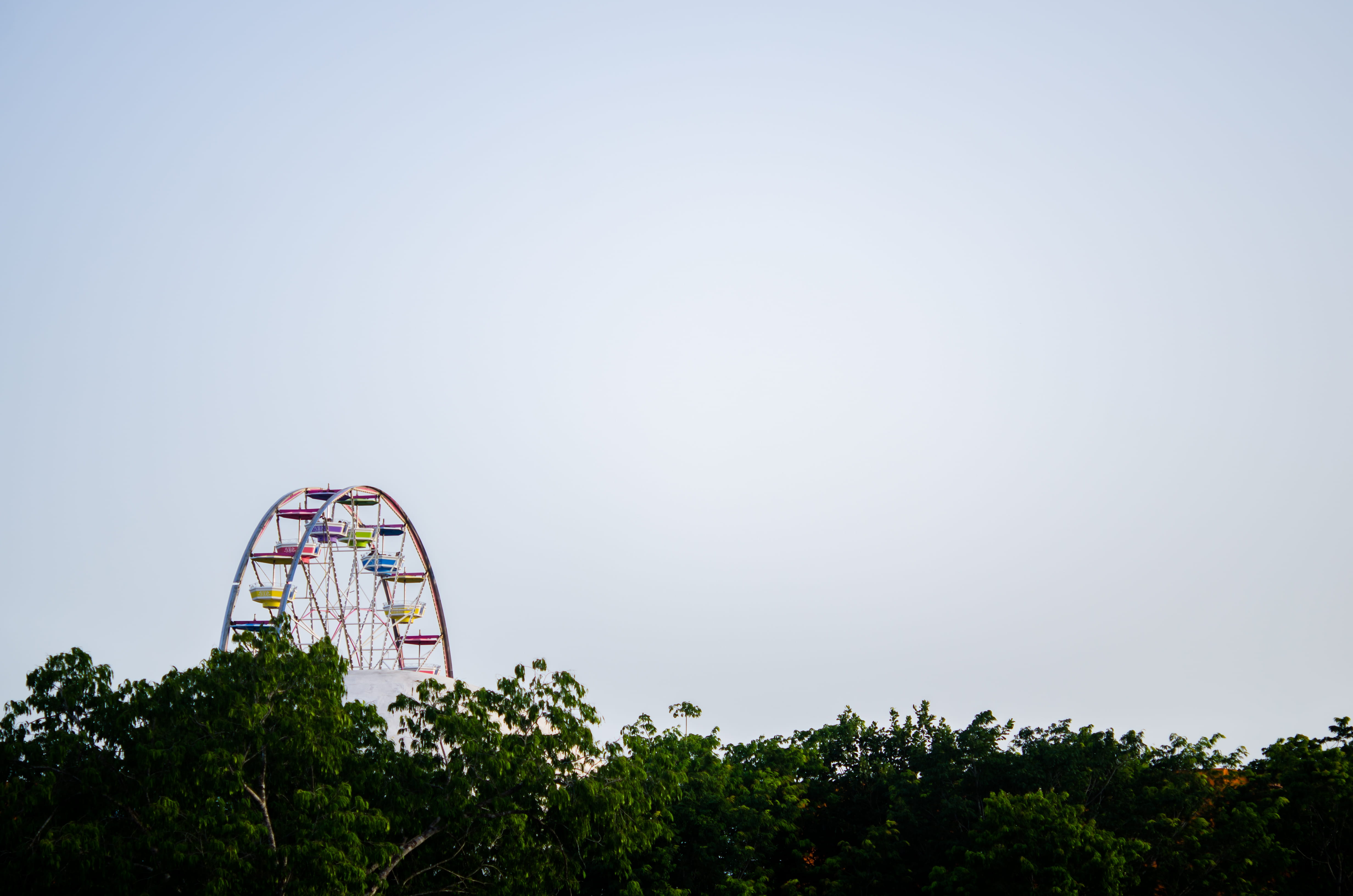 tree, playa del carmen, day, no people, rueda de la fortuna, arboles, 4K, built structure, sky, cielo, nature, rueda, outdoors, amusement park ride, clear sky, HD Wallpaper