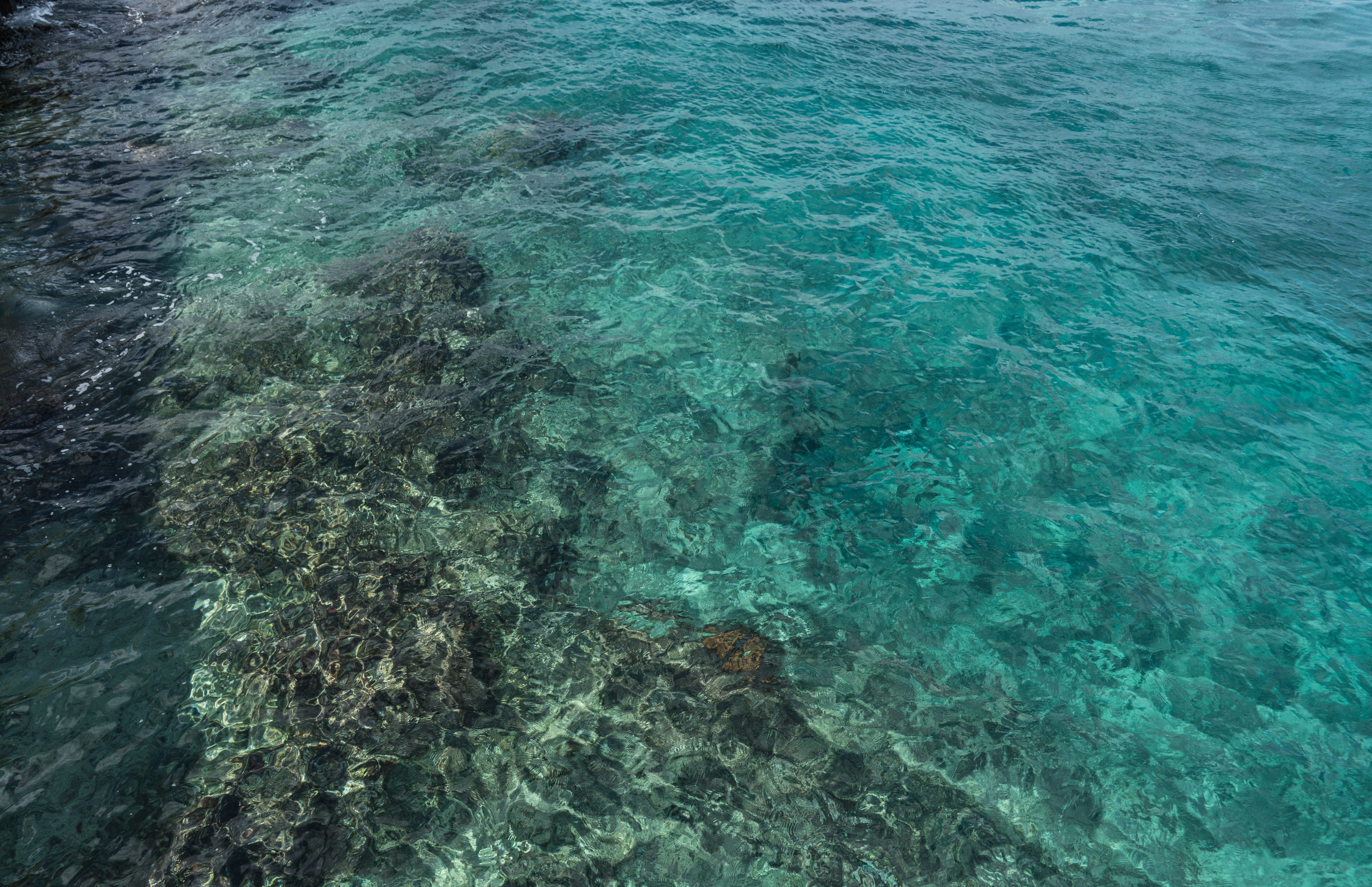 backgrounds, remote, ocean, turquoise colored, waterfront, nature, desktop, beauty in nature, blue, scenics - nature, rippled, travel, mexico, aqua water, HD Wallpaper