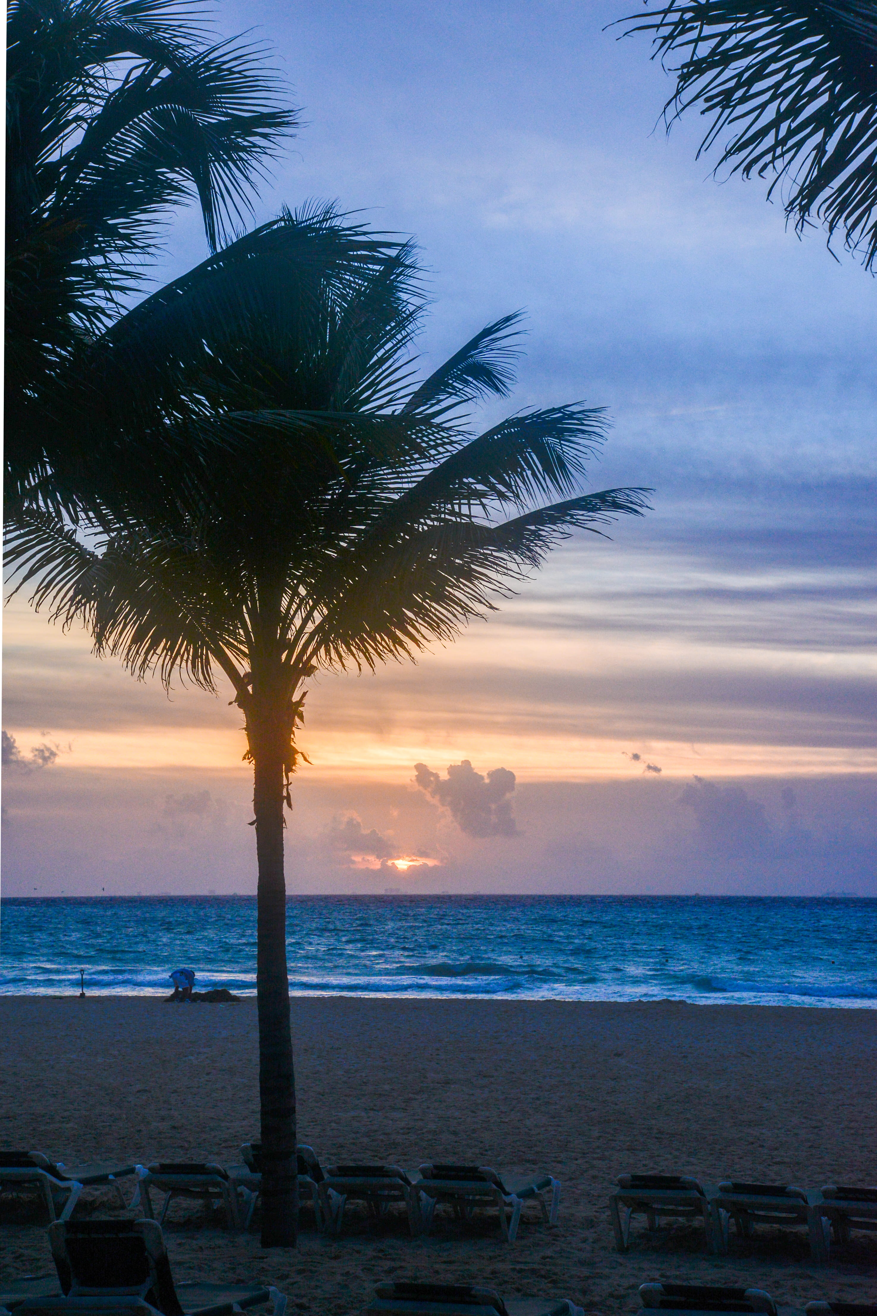horizon, 4K, sea, playa del carmen, no people, nature, tranquil scene, beach, tranquility, land, silhouette, scenics - nature, tropical climate, coconut palm tree, Phone HD Wallpaper
