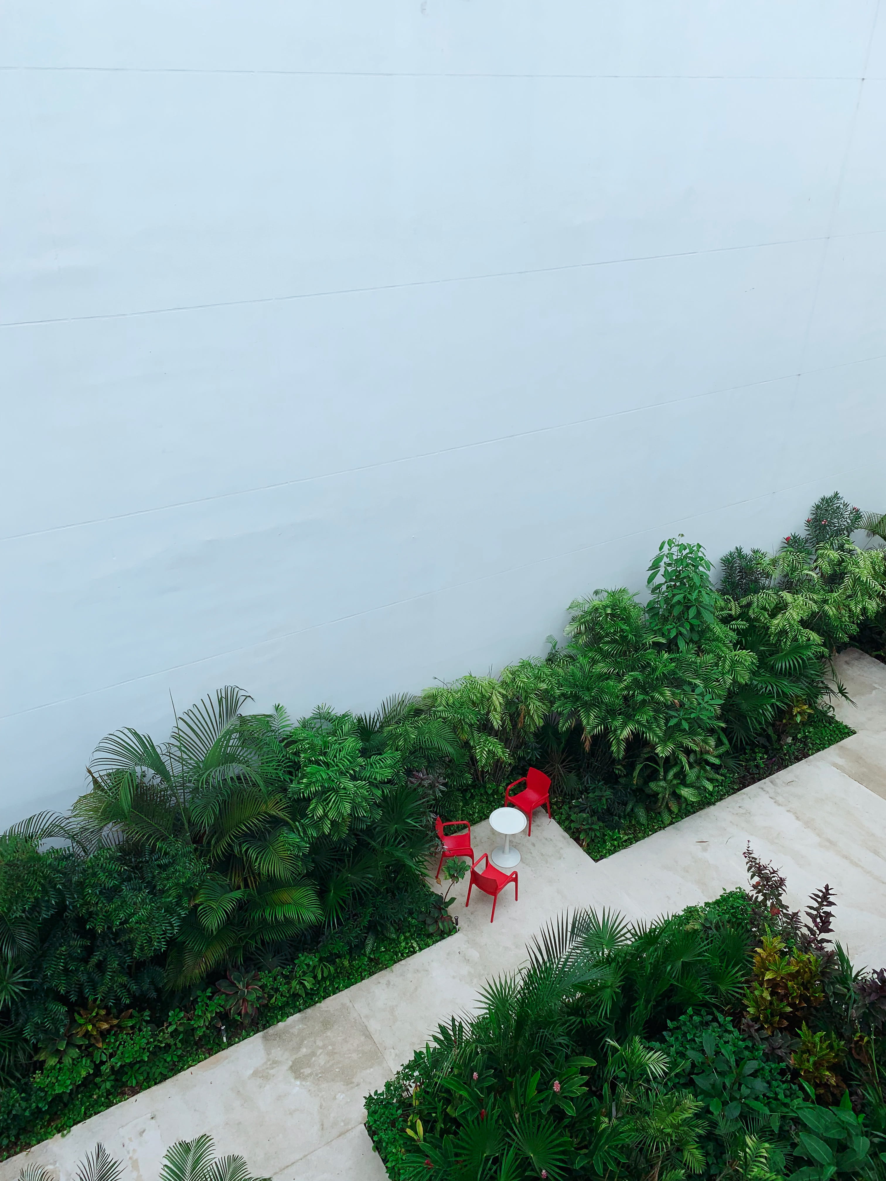 lifestyles, plant, urban, men, outdoors, real people, red, mexico, growth, path, women, one person, monobloc, nature, tower, 4K, high angle view, plastic, Phone HD Wallpaper